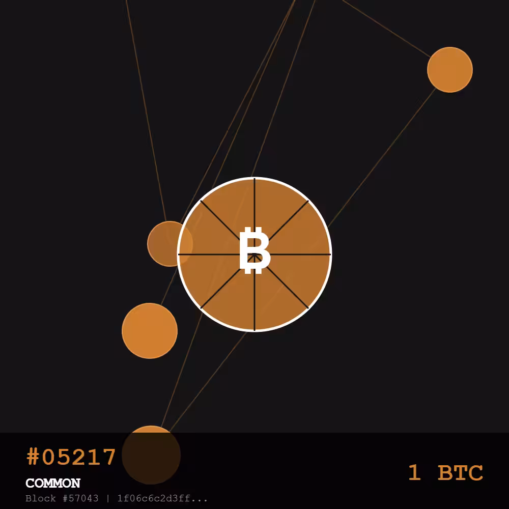 🍕 Bitcoin Pizza Genesis: 10K — COMMON #05217