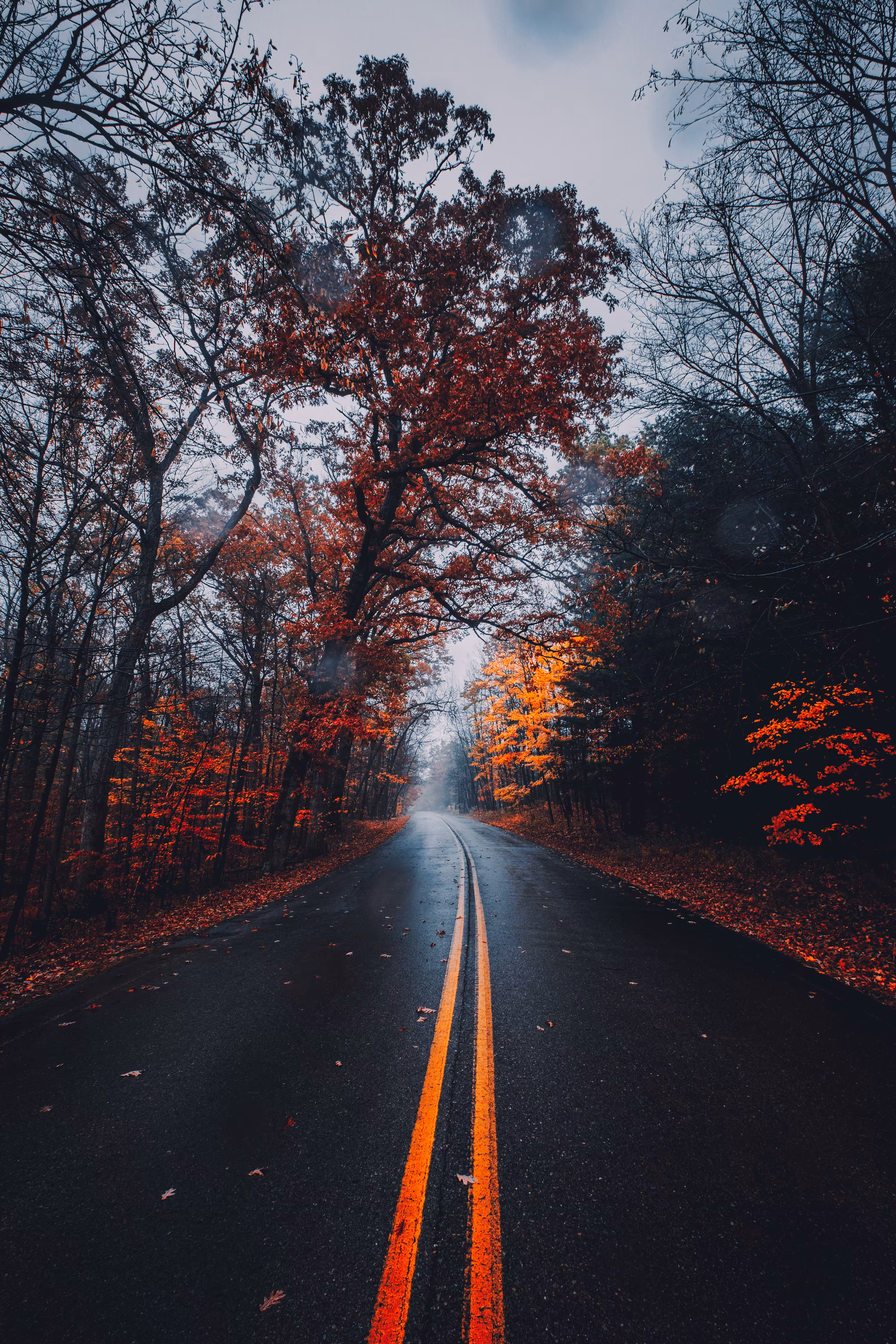 Seasonal #71