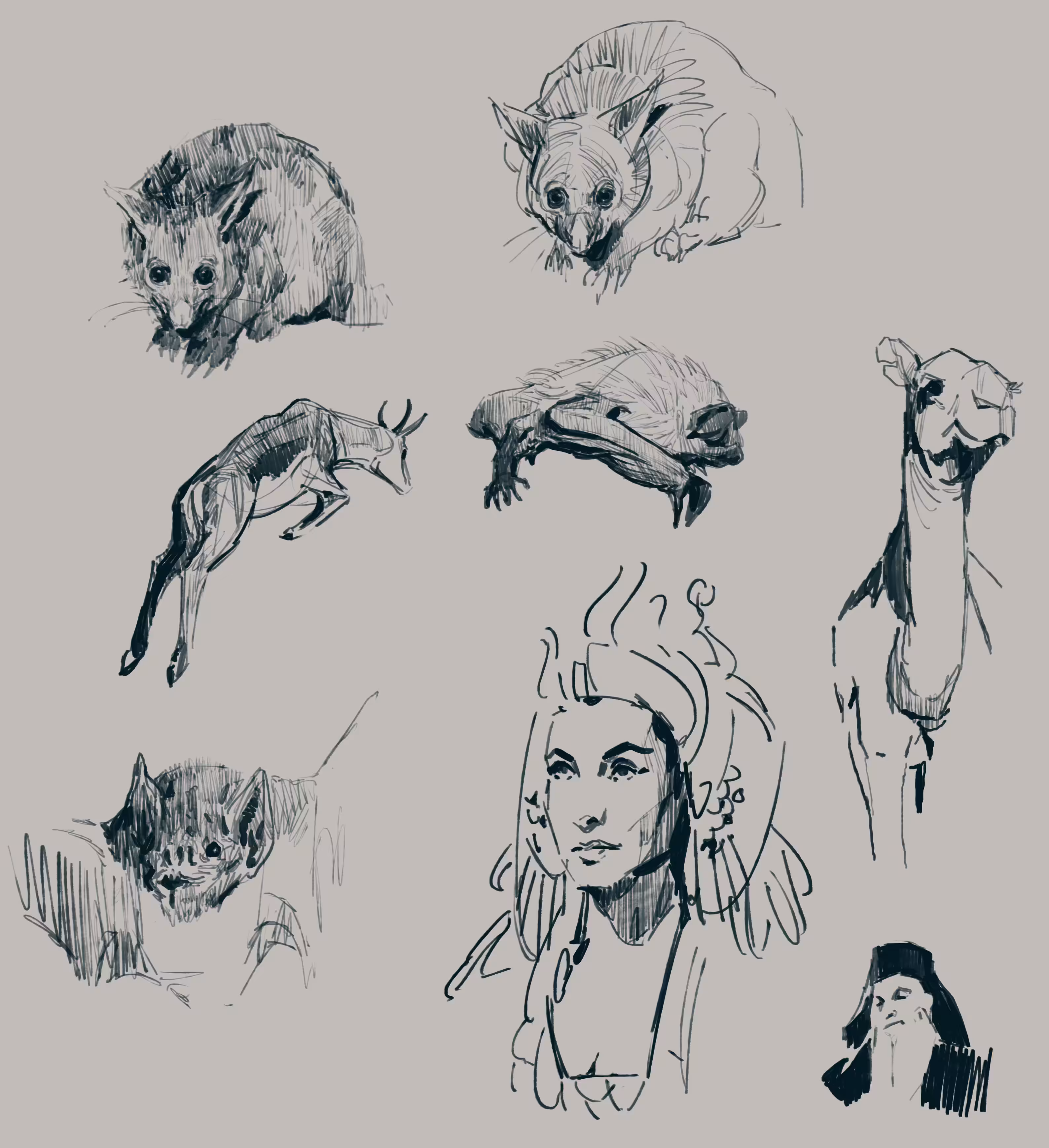 visual library sketches A - 04/01/2021
