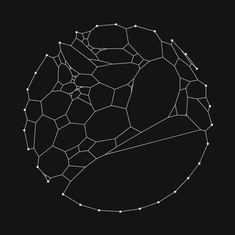 Elastic Web #156
