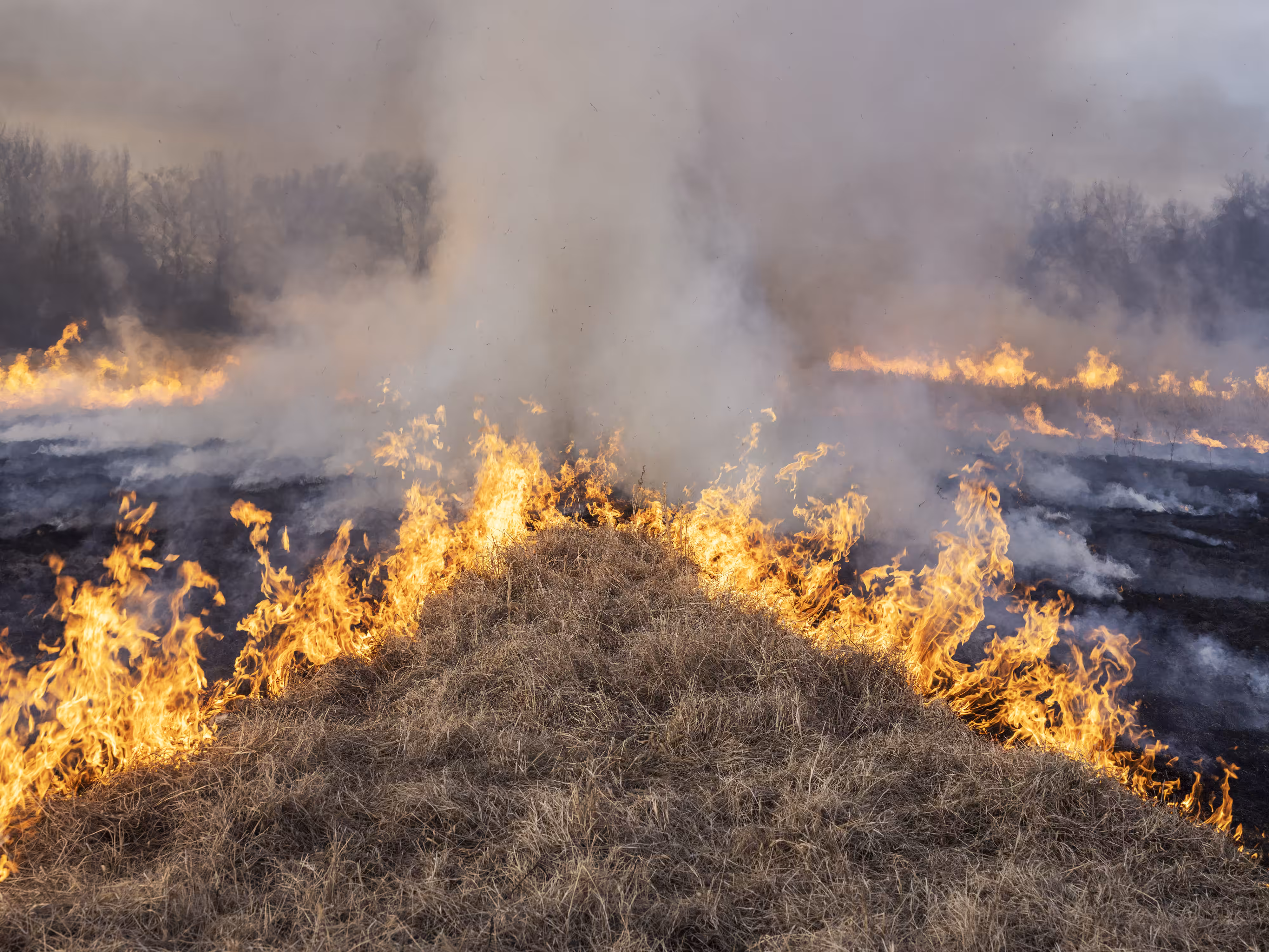 Whirlpool #24 Controlled Burn by Jim Goldberg