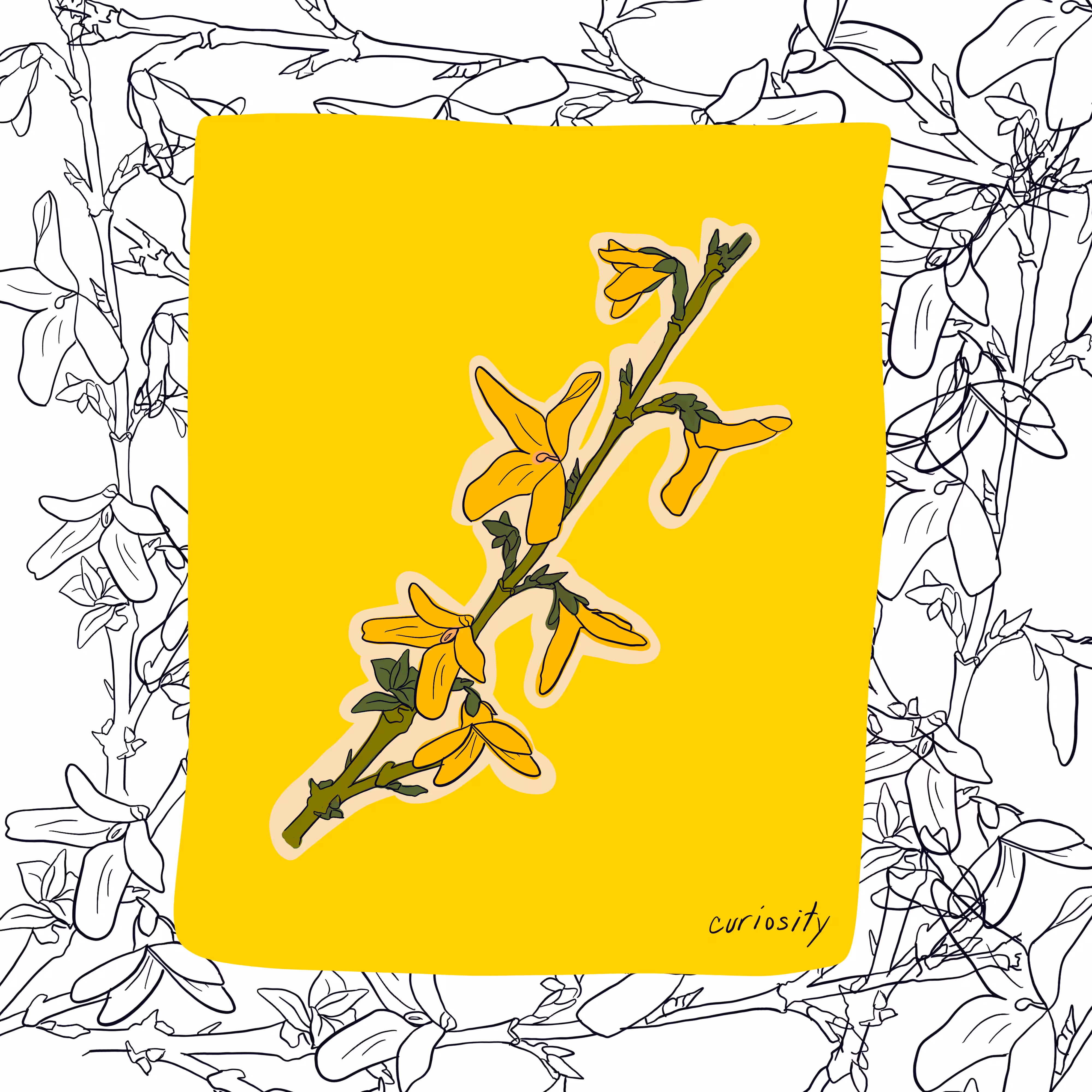 Floriography #6