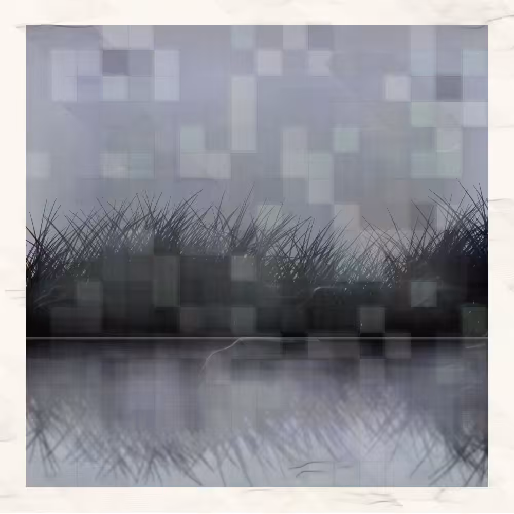 Self-reflection #12