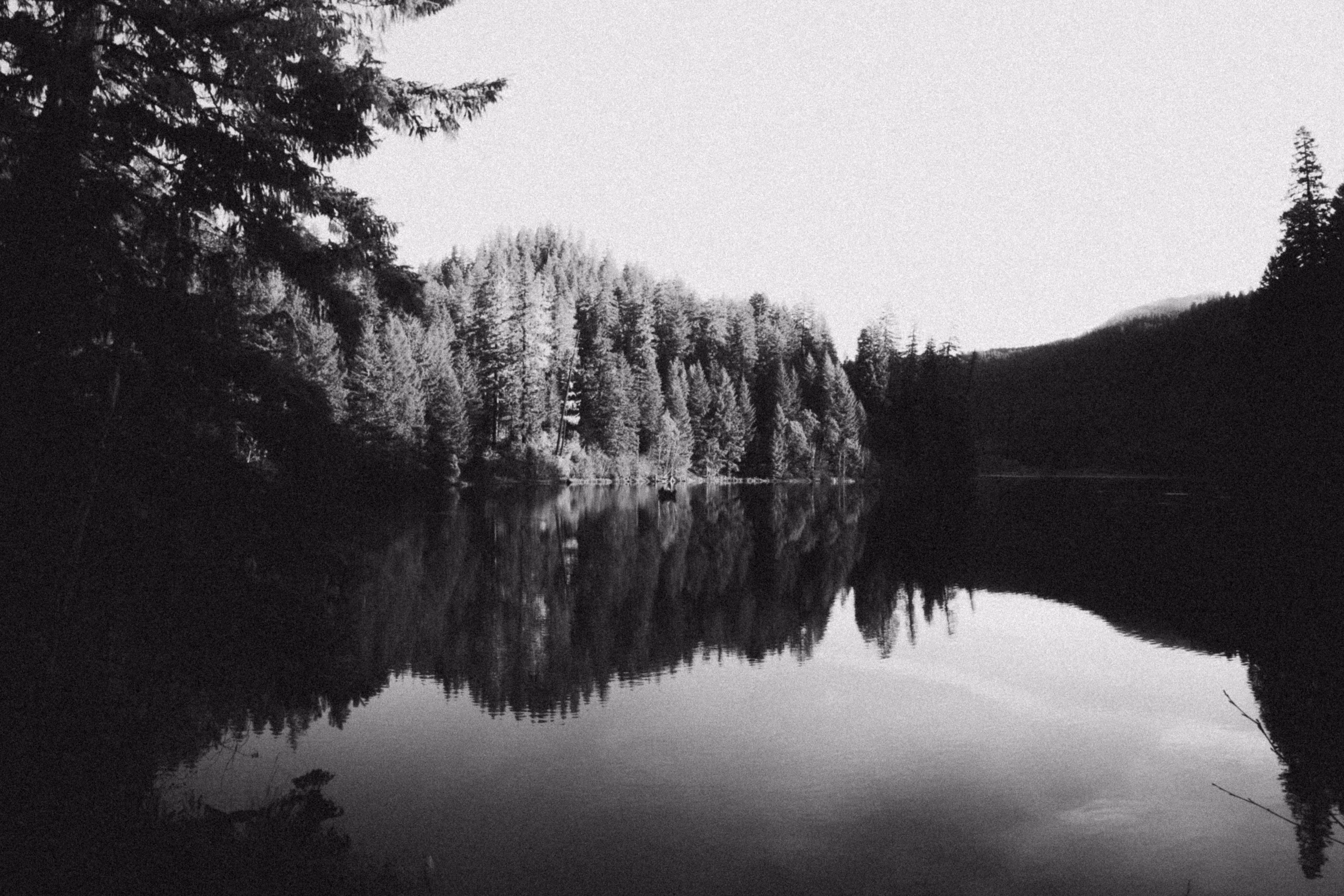 Lakeside Solitude
