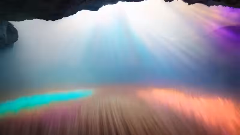 DX01: SINGULARITY 18530