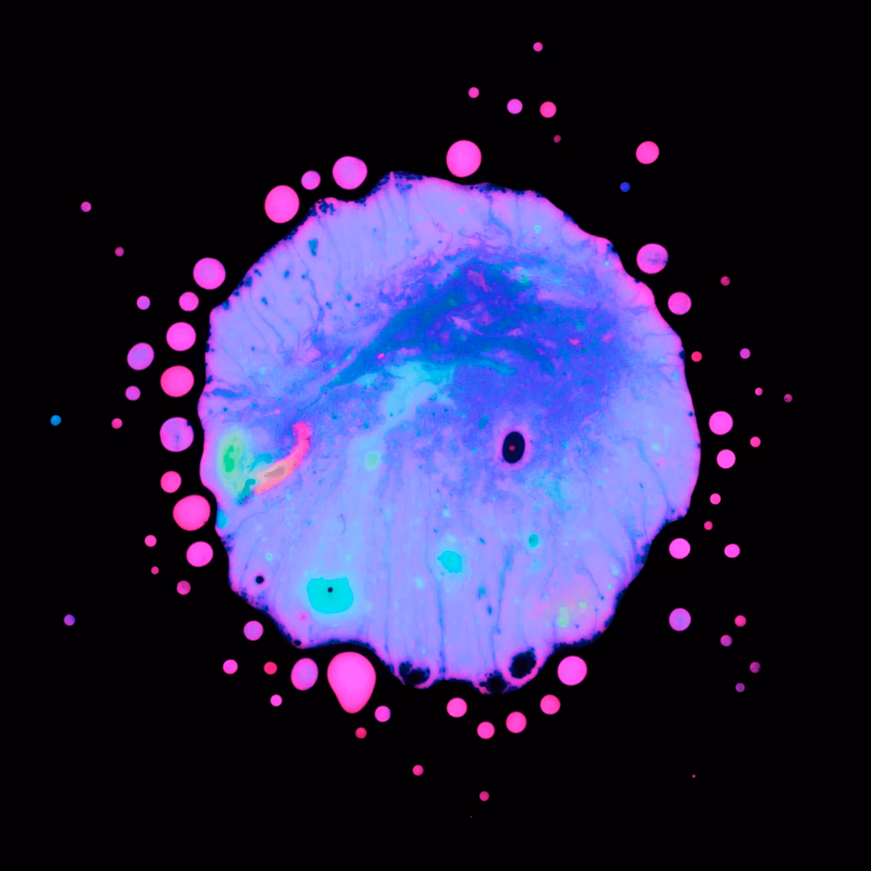 Haematopoiesis #158