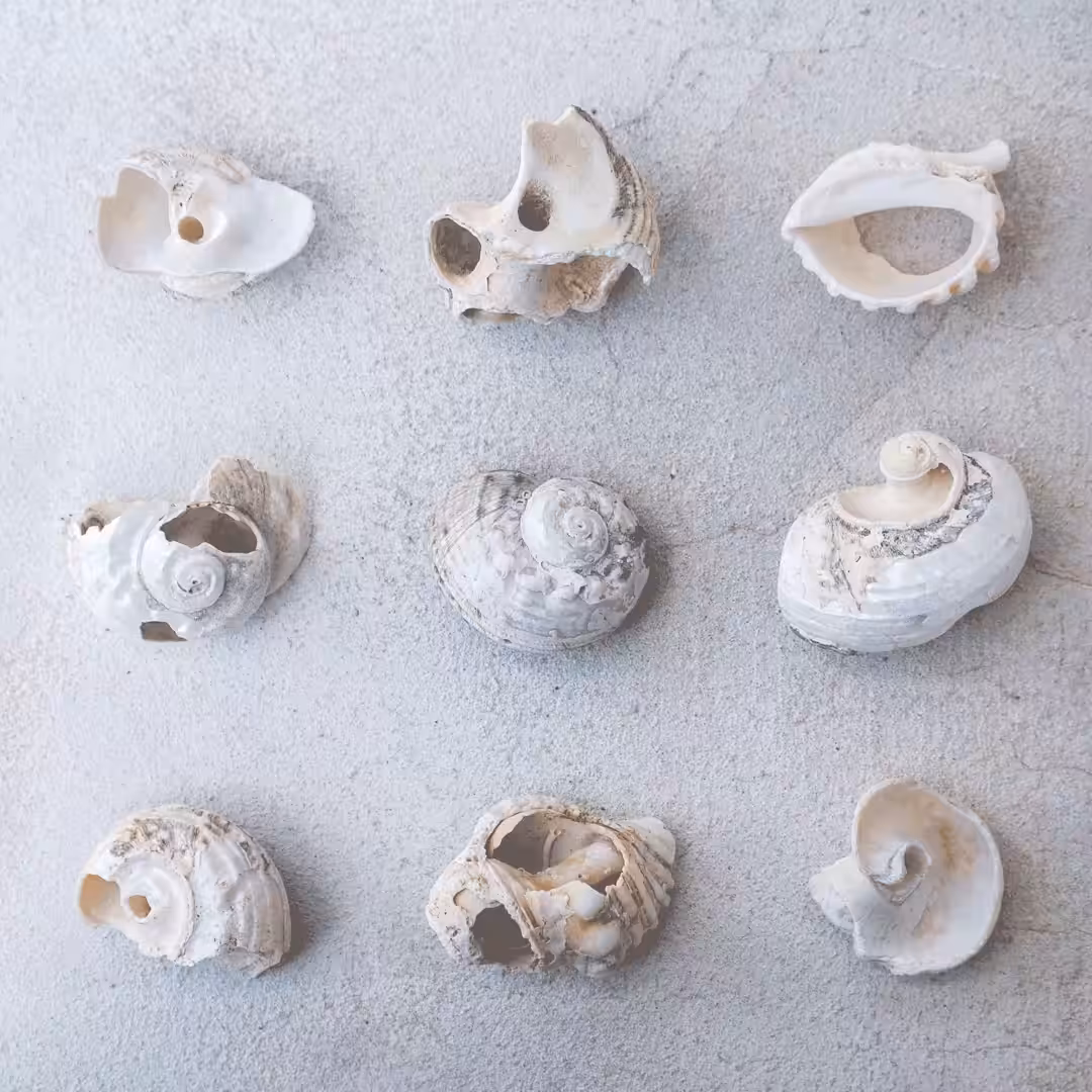 Spiral at my core
