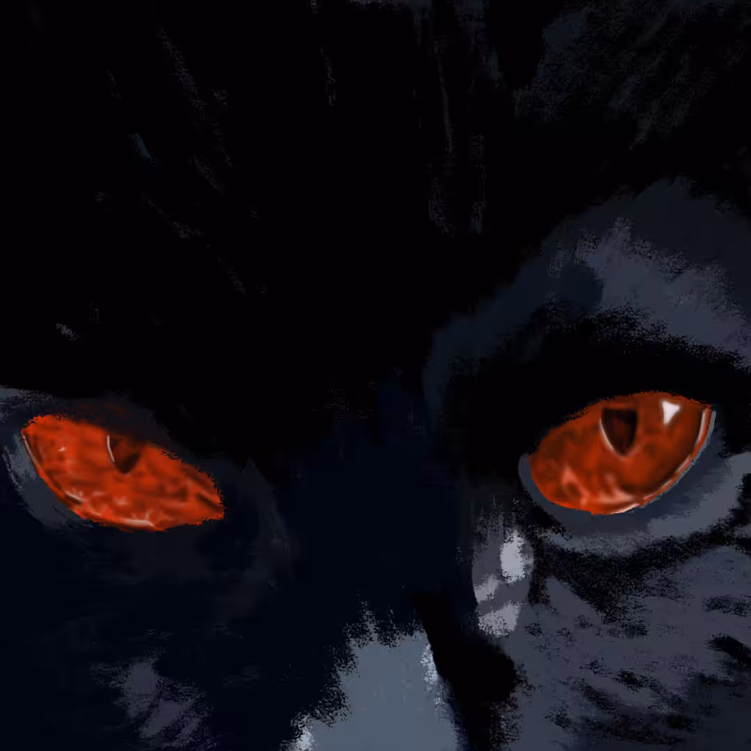 Black Cat 