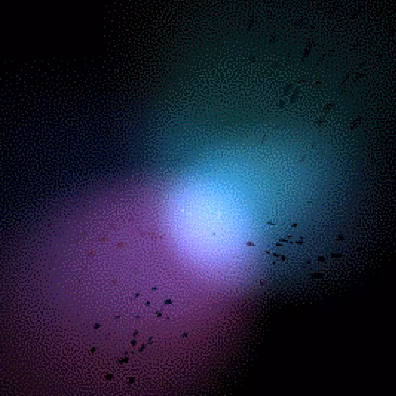 Moths #24