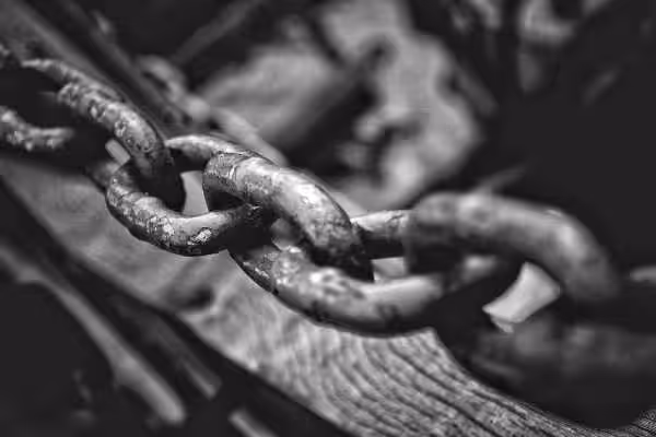 Echoes of On Chain