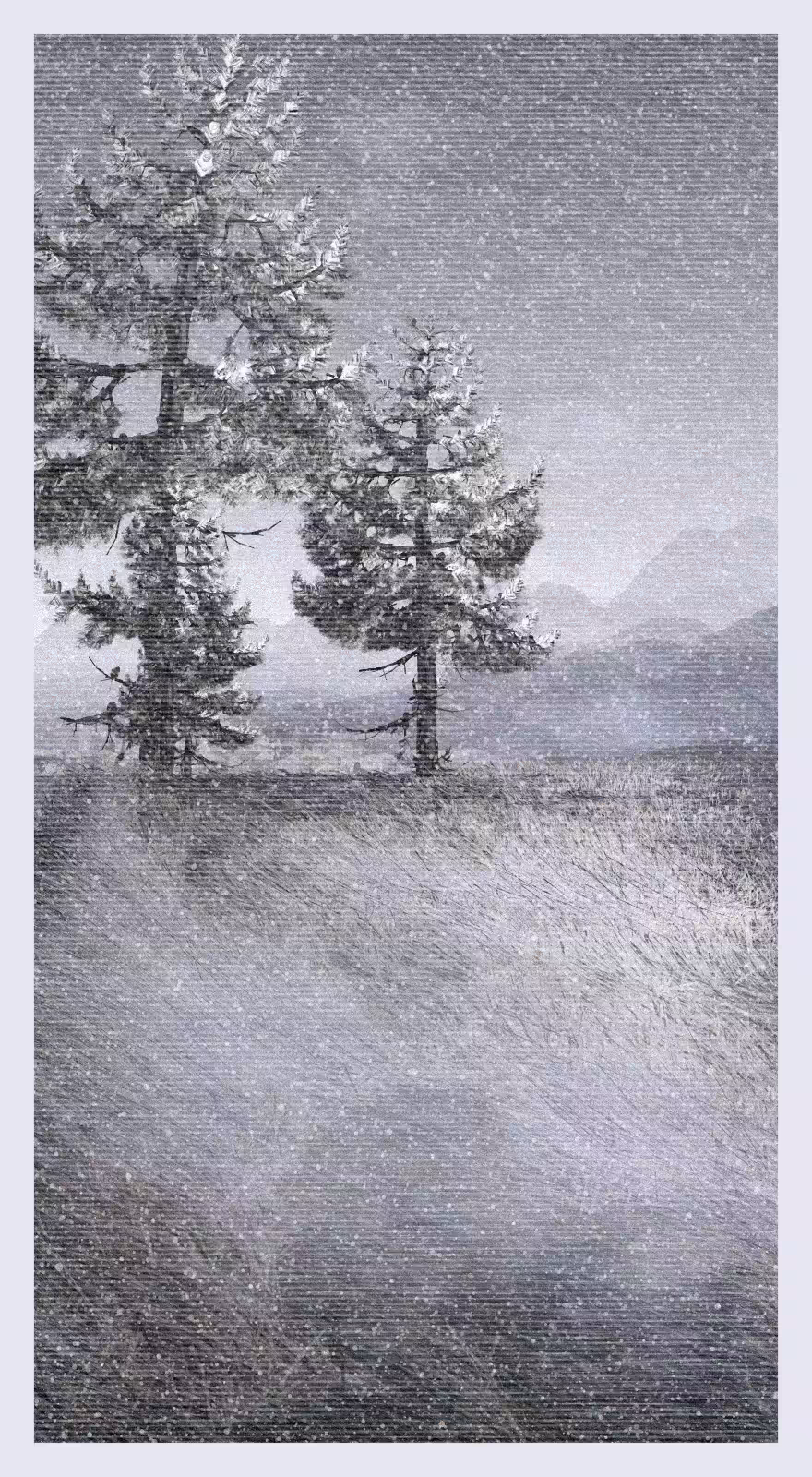 Snižina #47