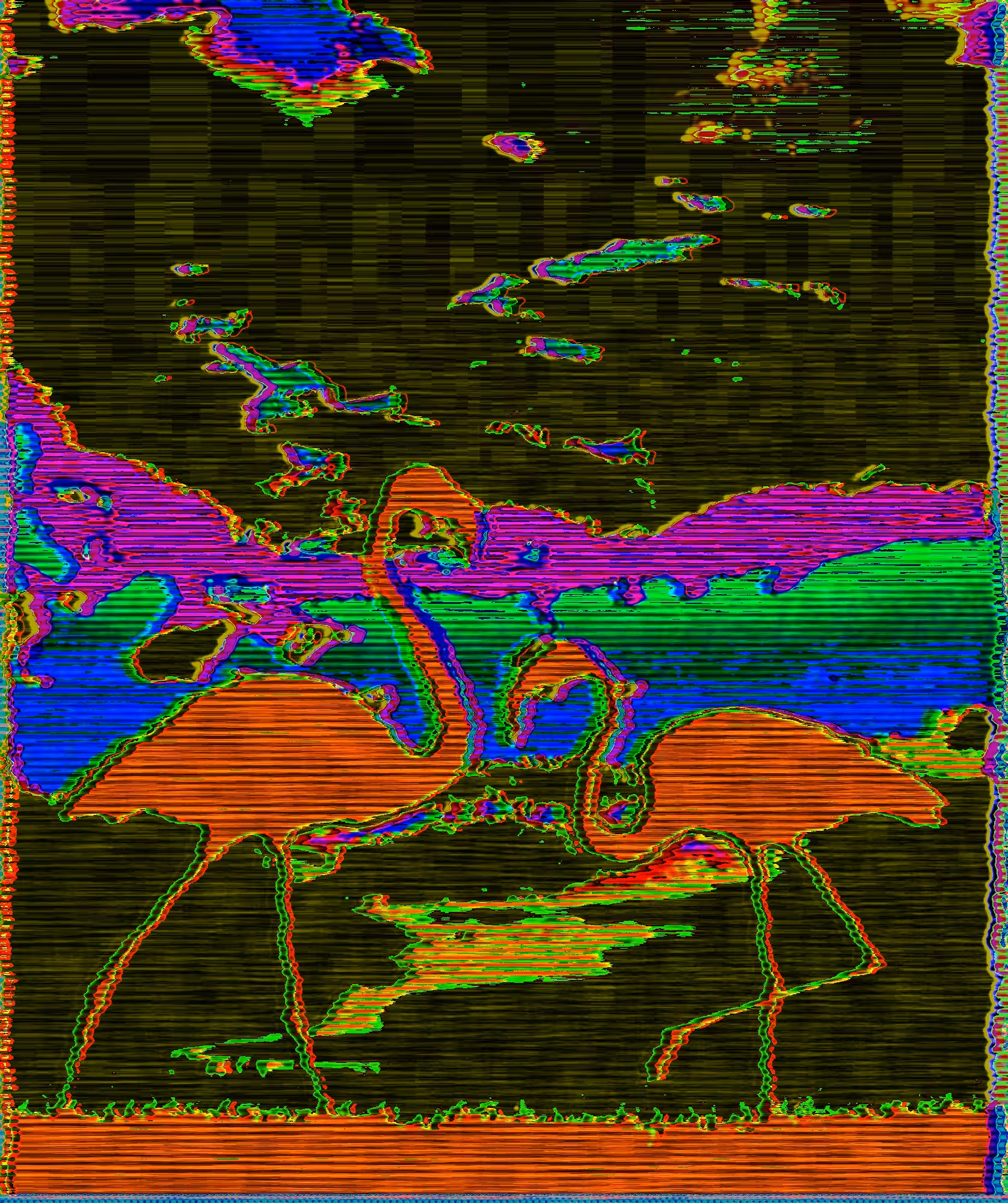 Nature: Orange flamingo