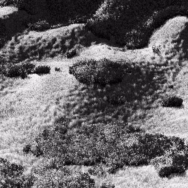 California Hills in Late Sun #1