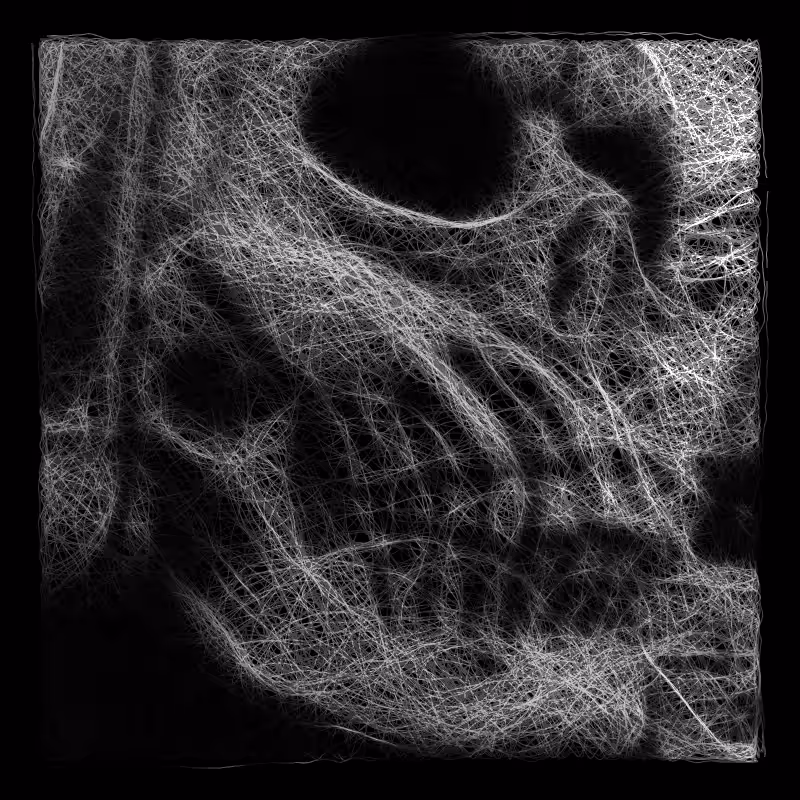 cotton skull R