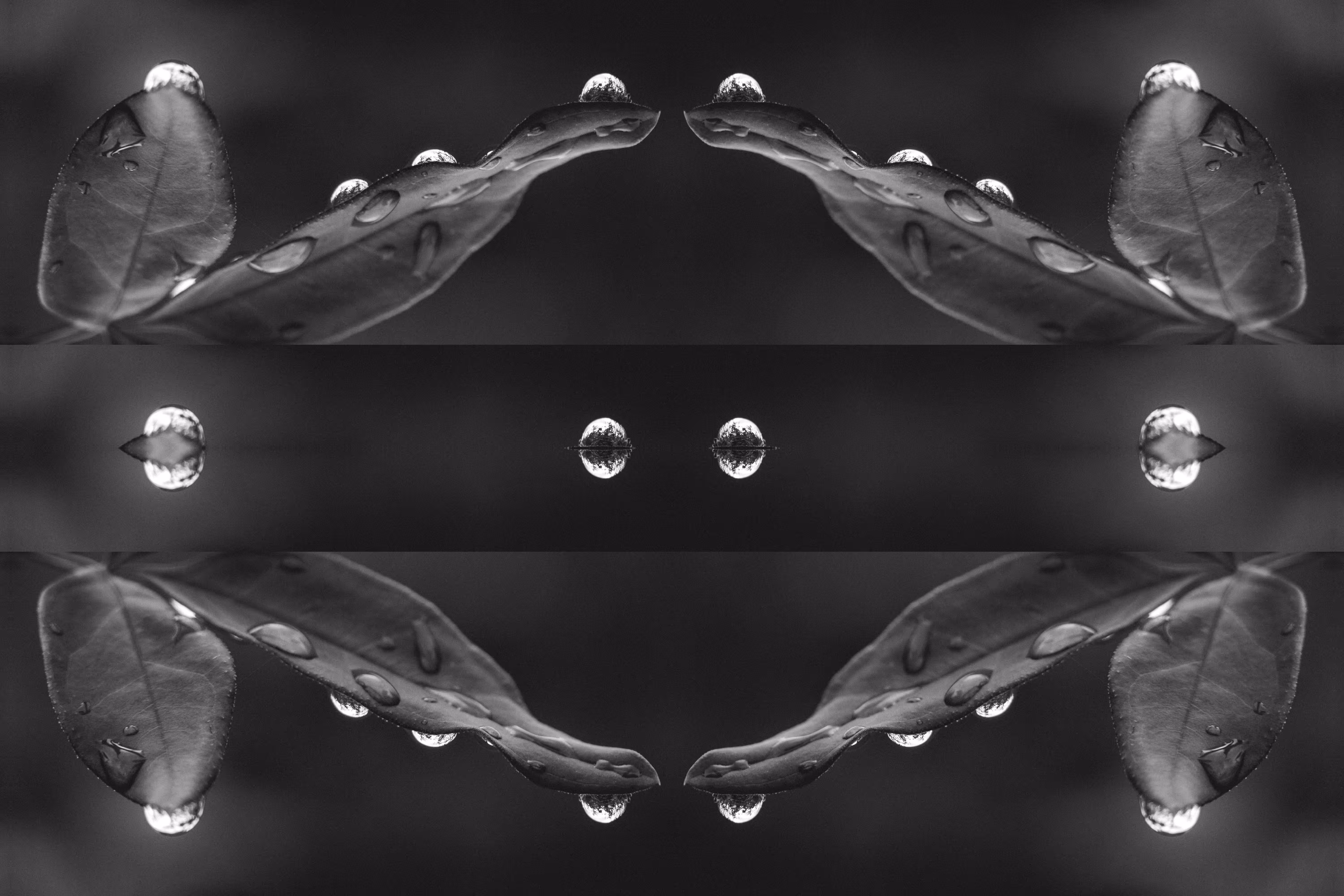Subject One - Observation Three