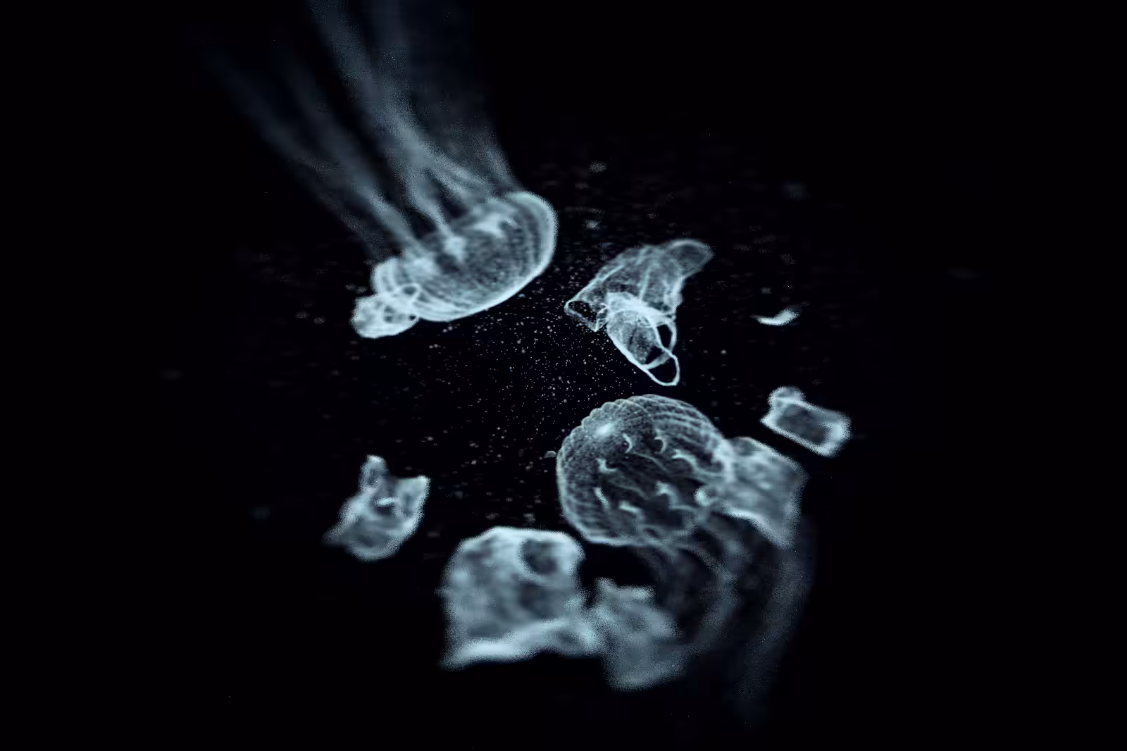 Turtle Vision #76
