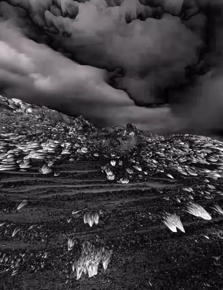 Fluid Scene