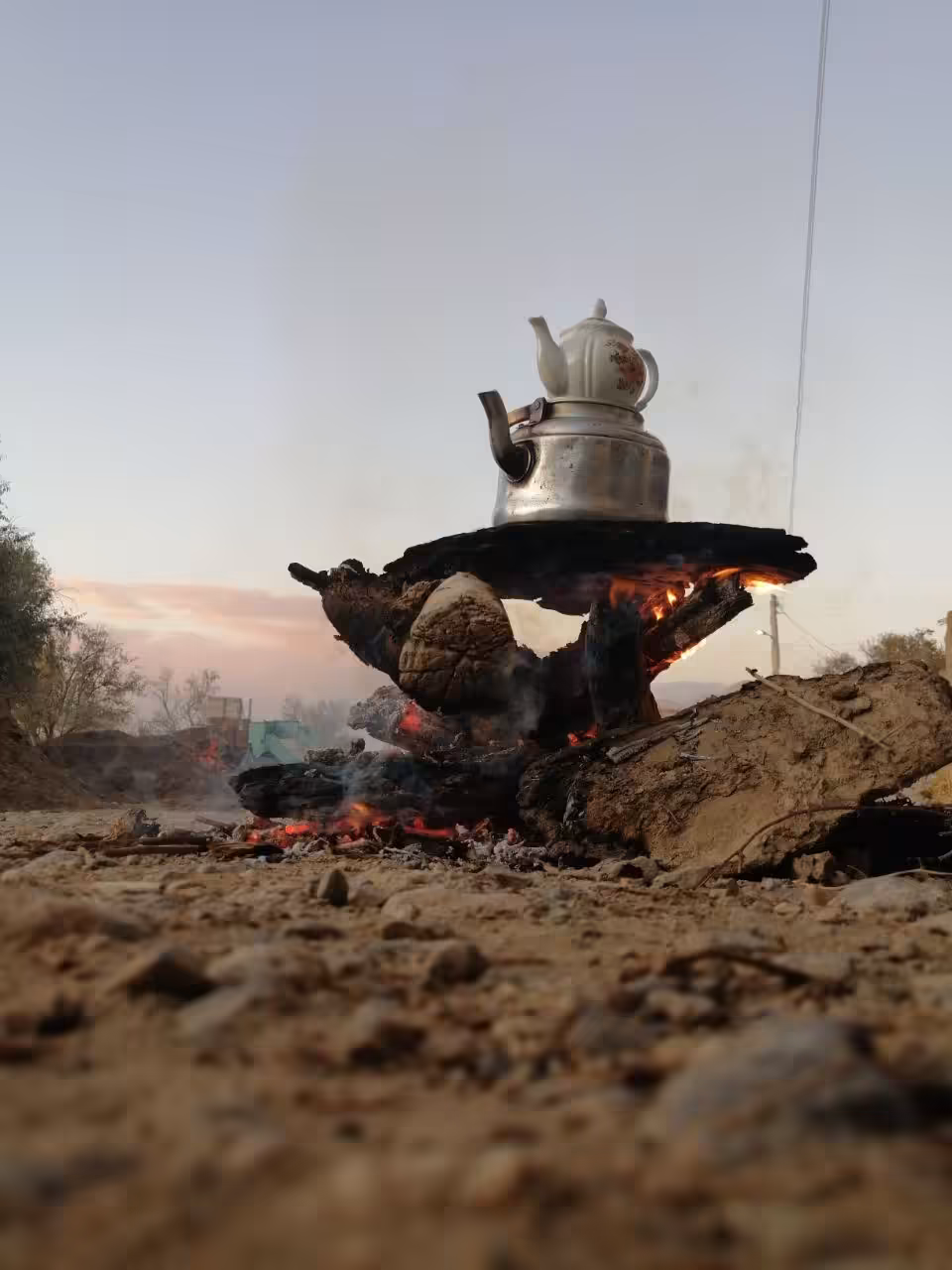 tea,photo and  memories