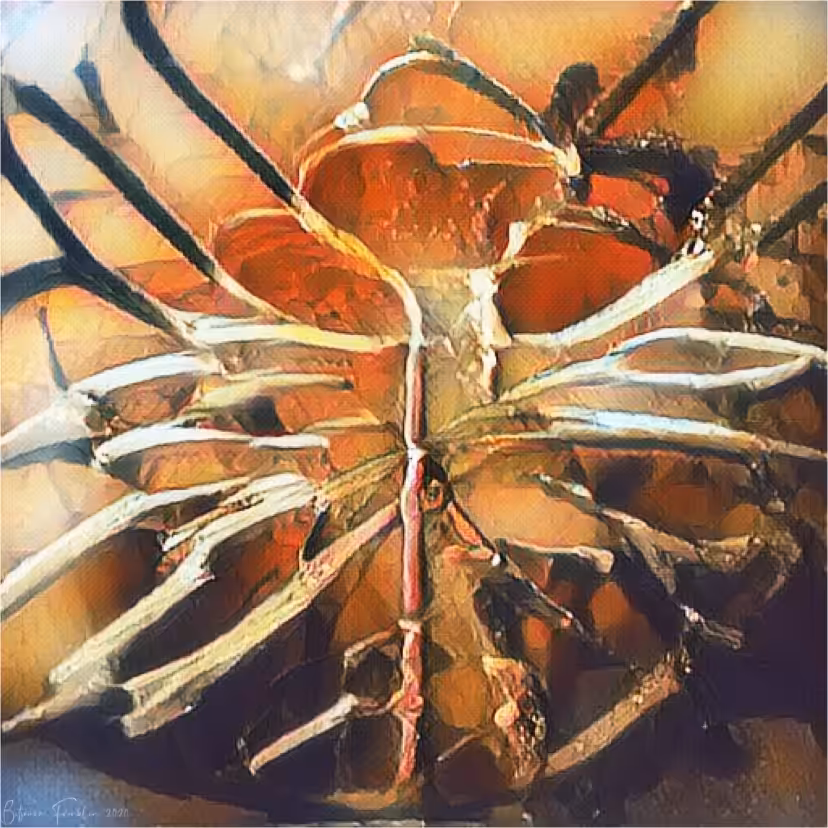 FLESH.bONE