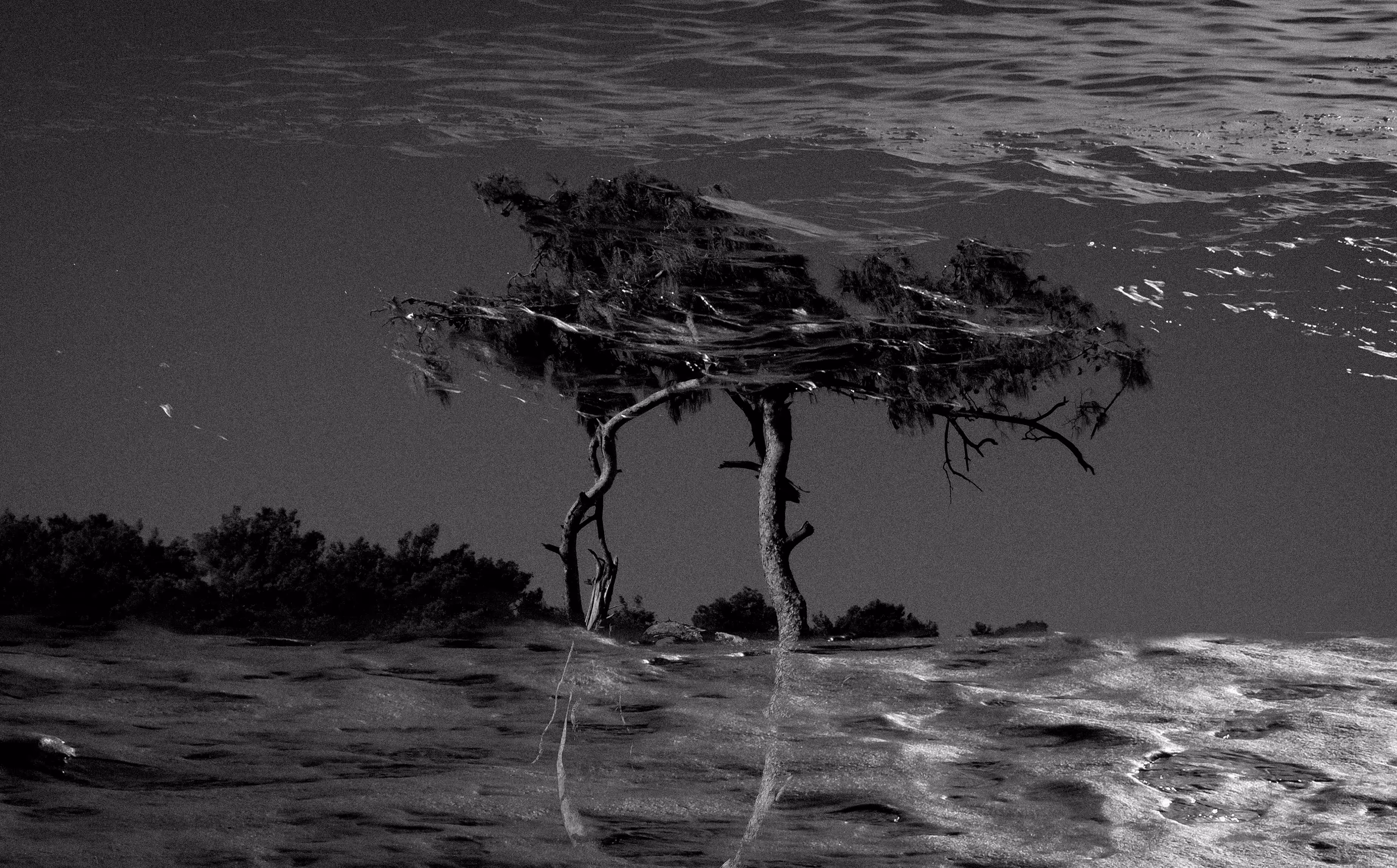 flood tide