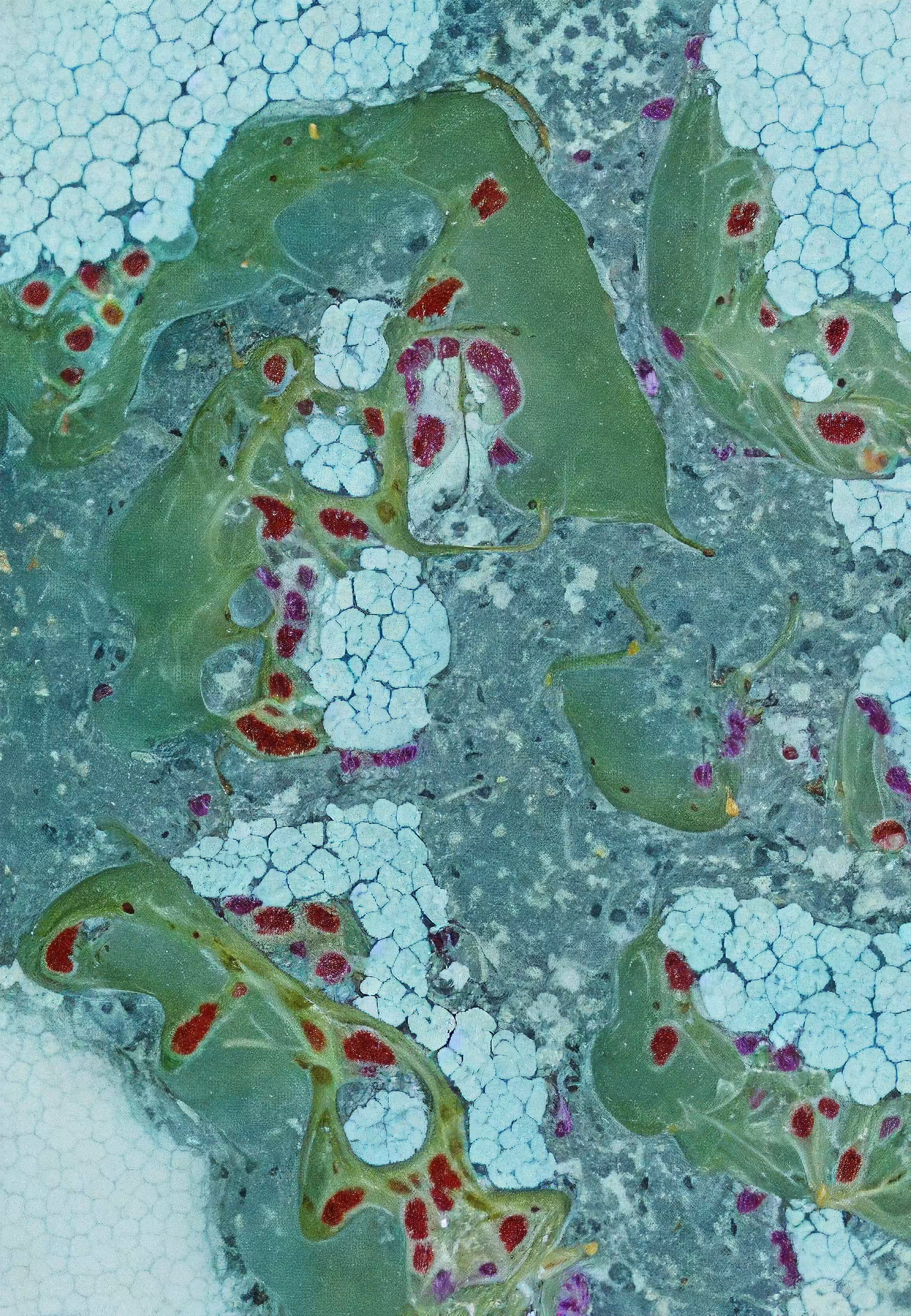 Histologia In Silico #188