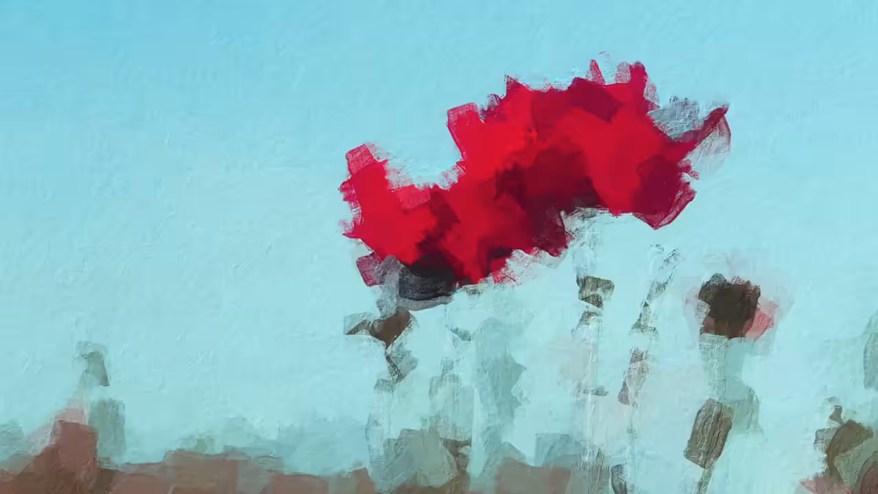 Poppies