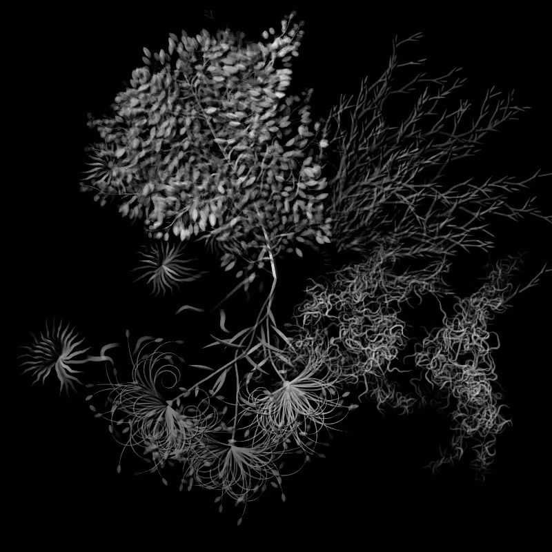 Botanical Ghosts #35