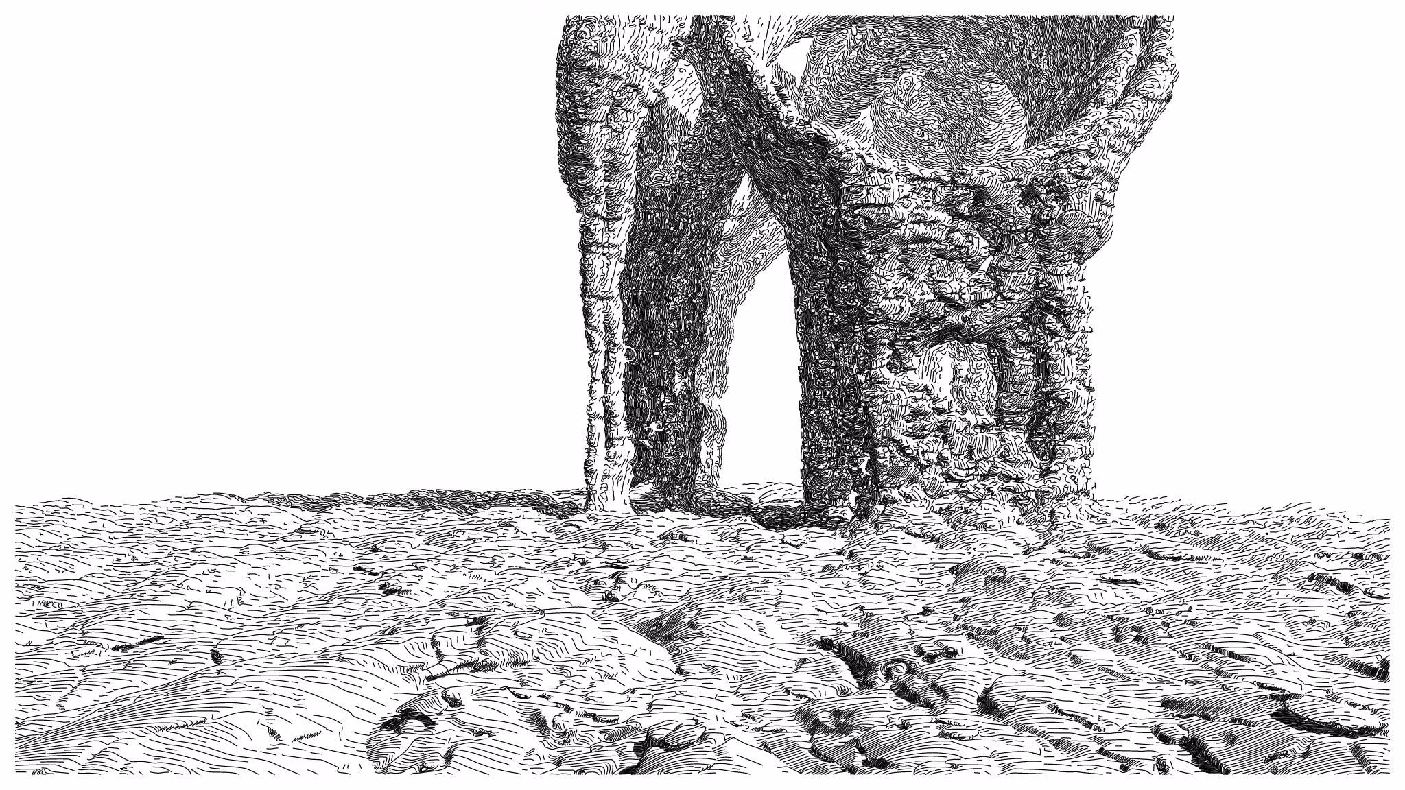GEOMORPHISM #145