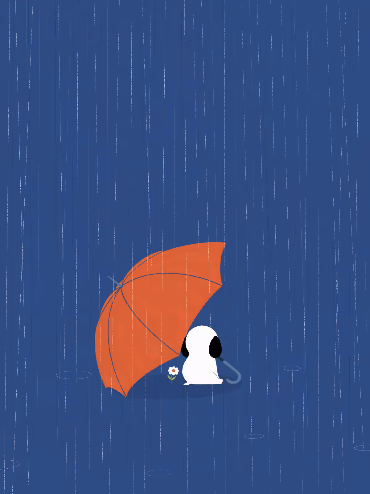 Jimmy in the rain.