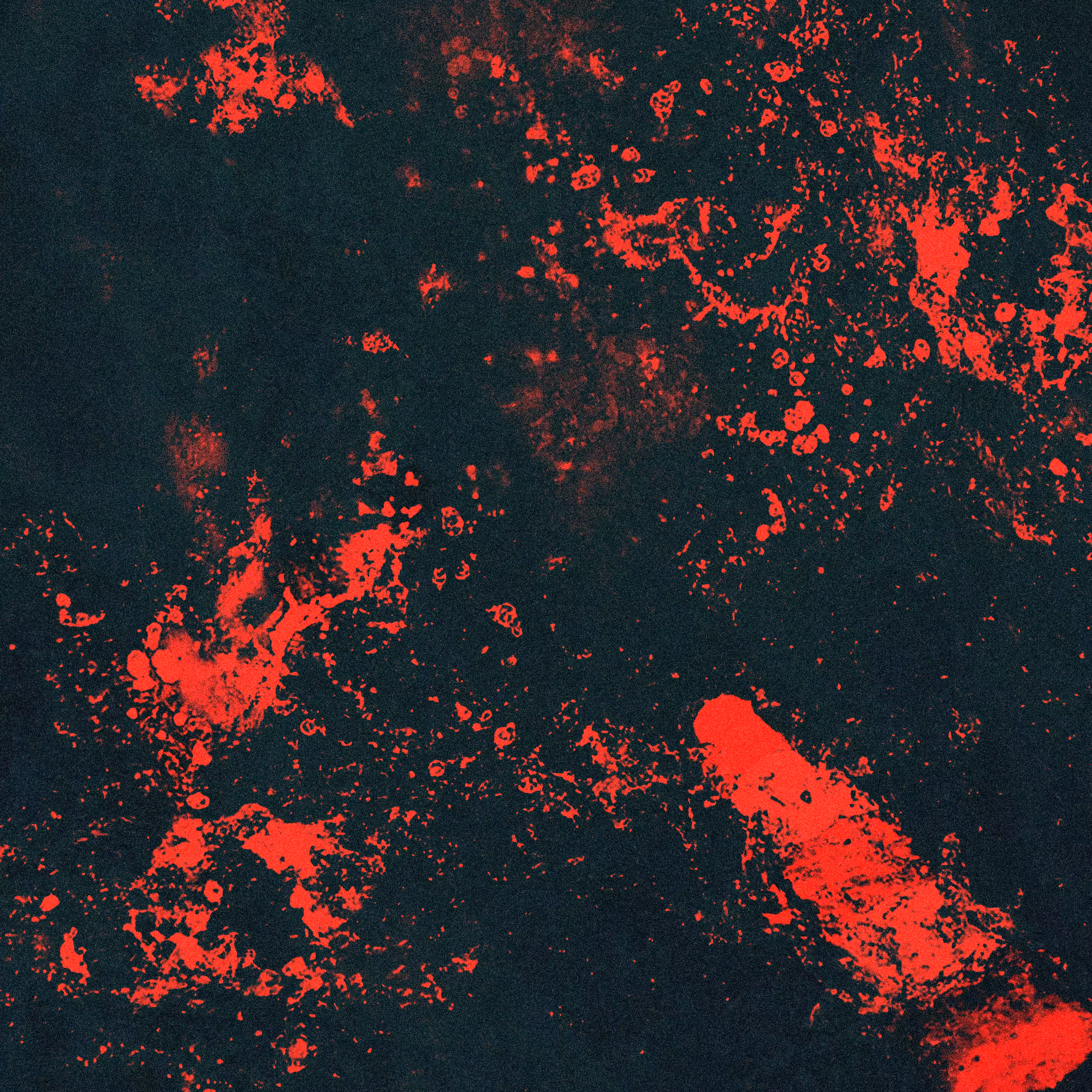 ORANGE BLOOD