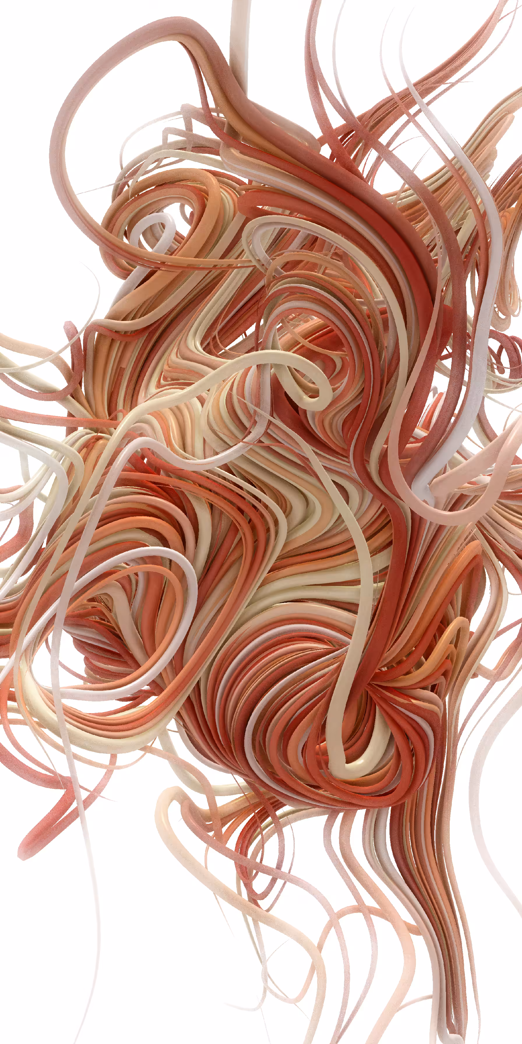 Wired #4