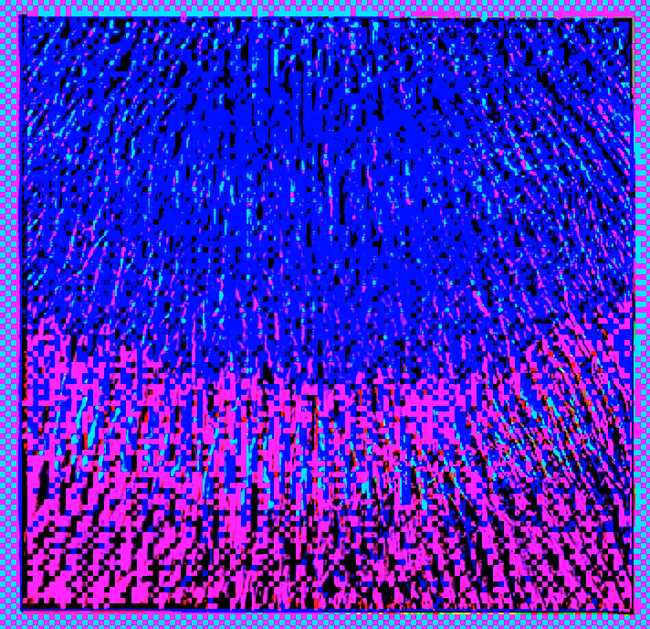 Root