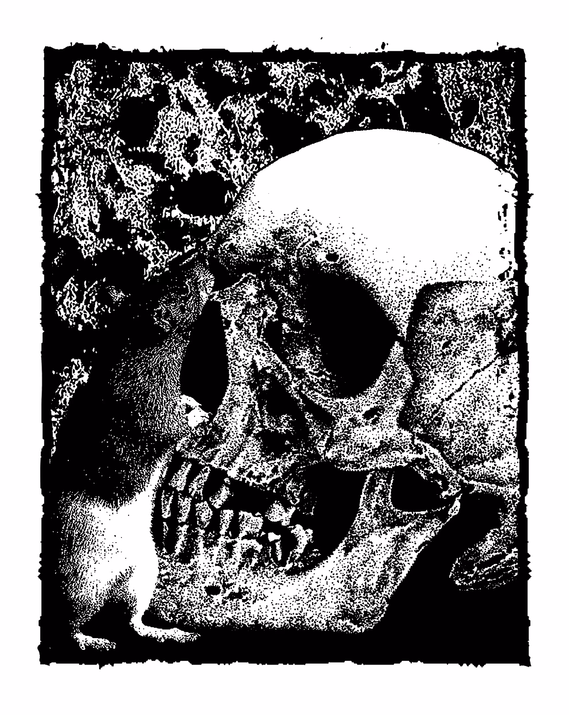 death routine