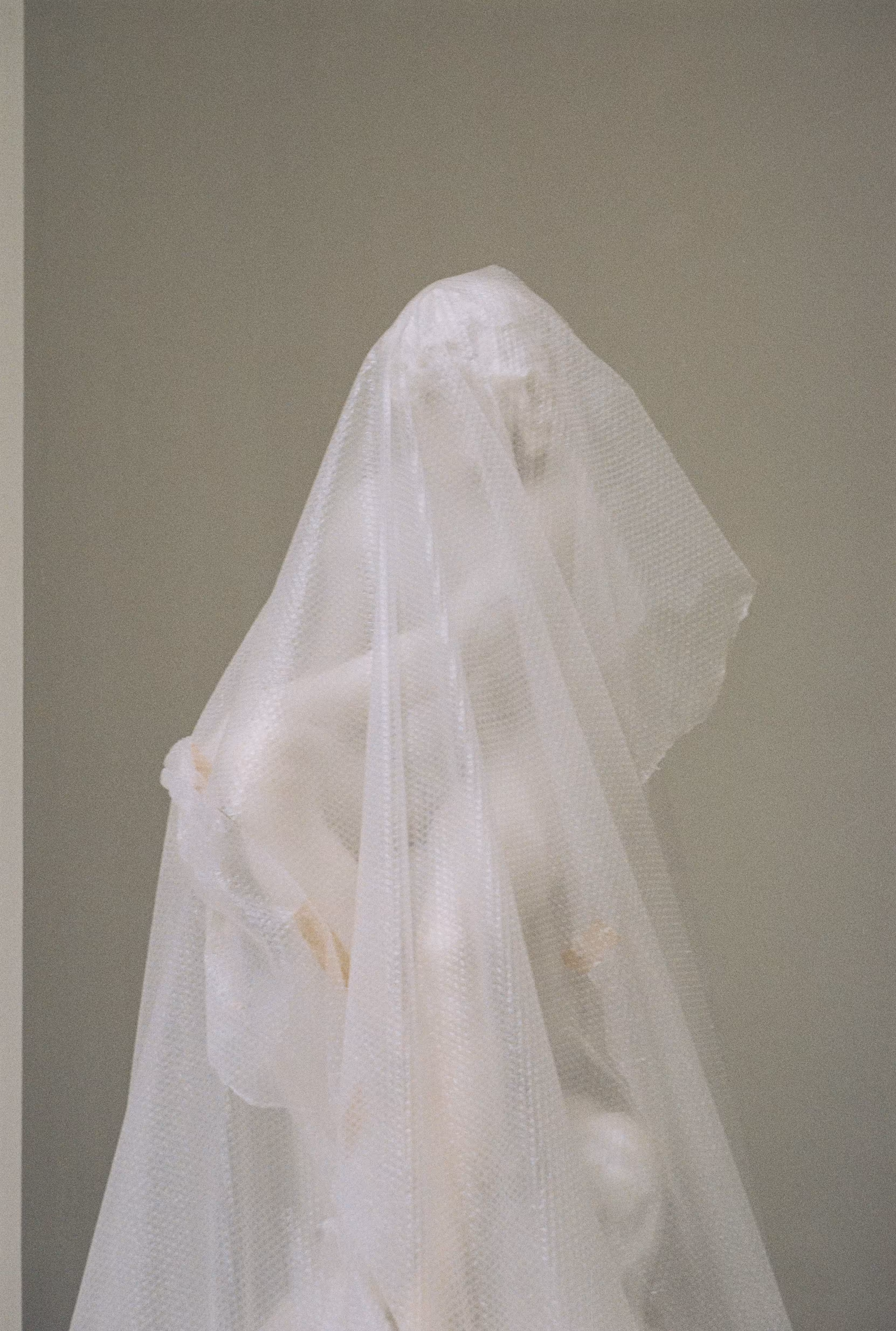 Veiled