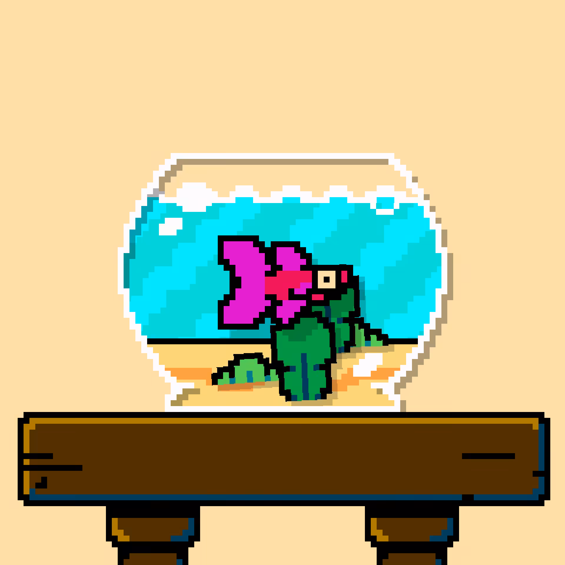 betta fish #408