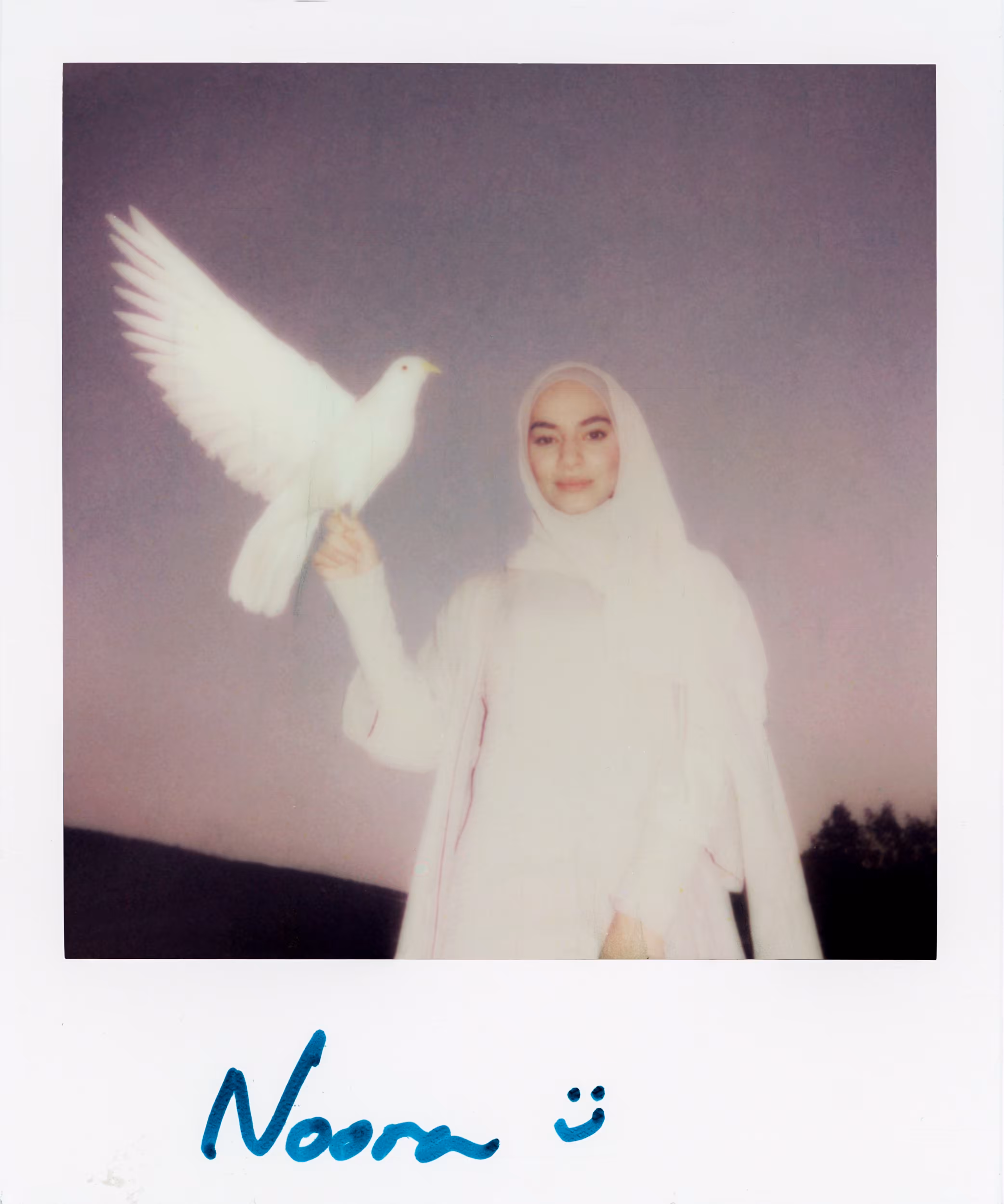 Windows Polaroids: Windows # 95