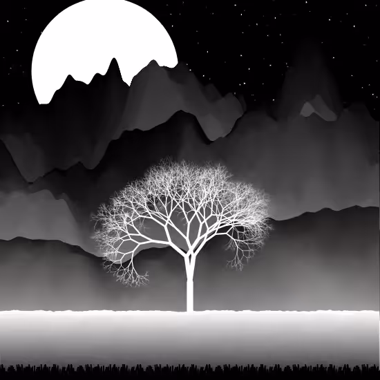 B&W Landscape #20