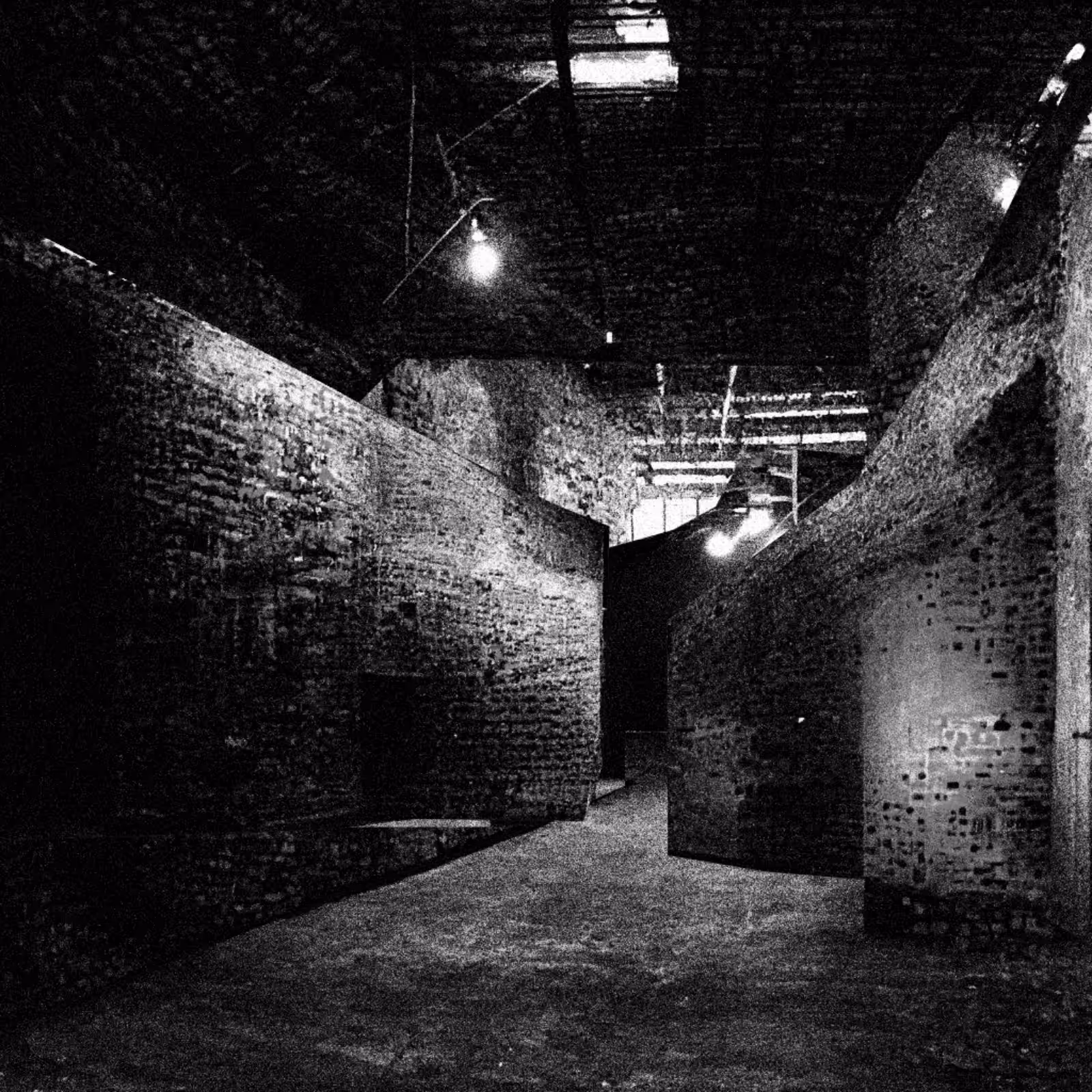 Liminal Newberry #108