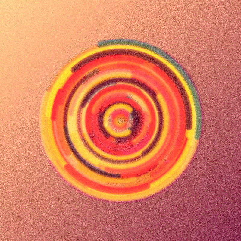 Wisp #797