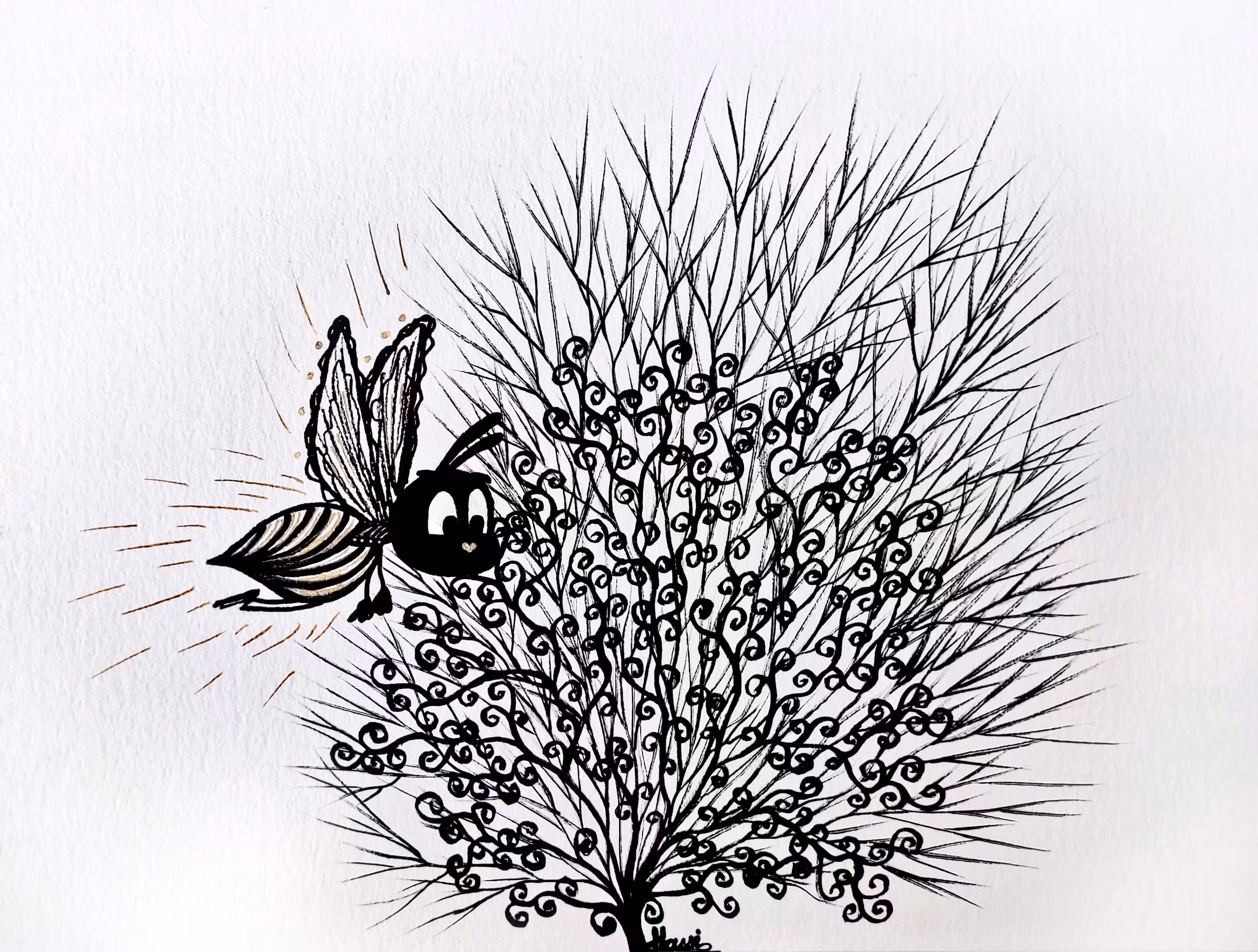 "Firefly"