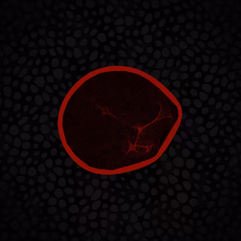 Protista #26