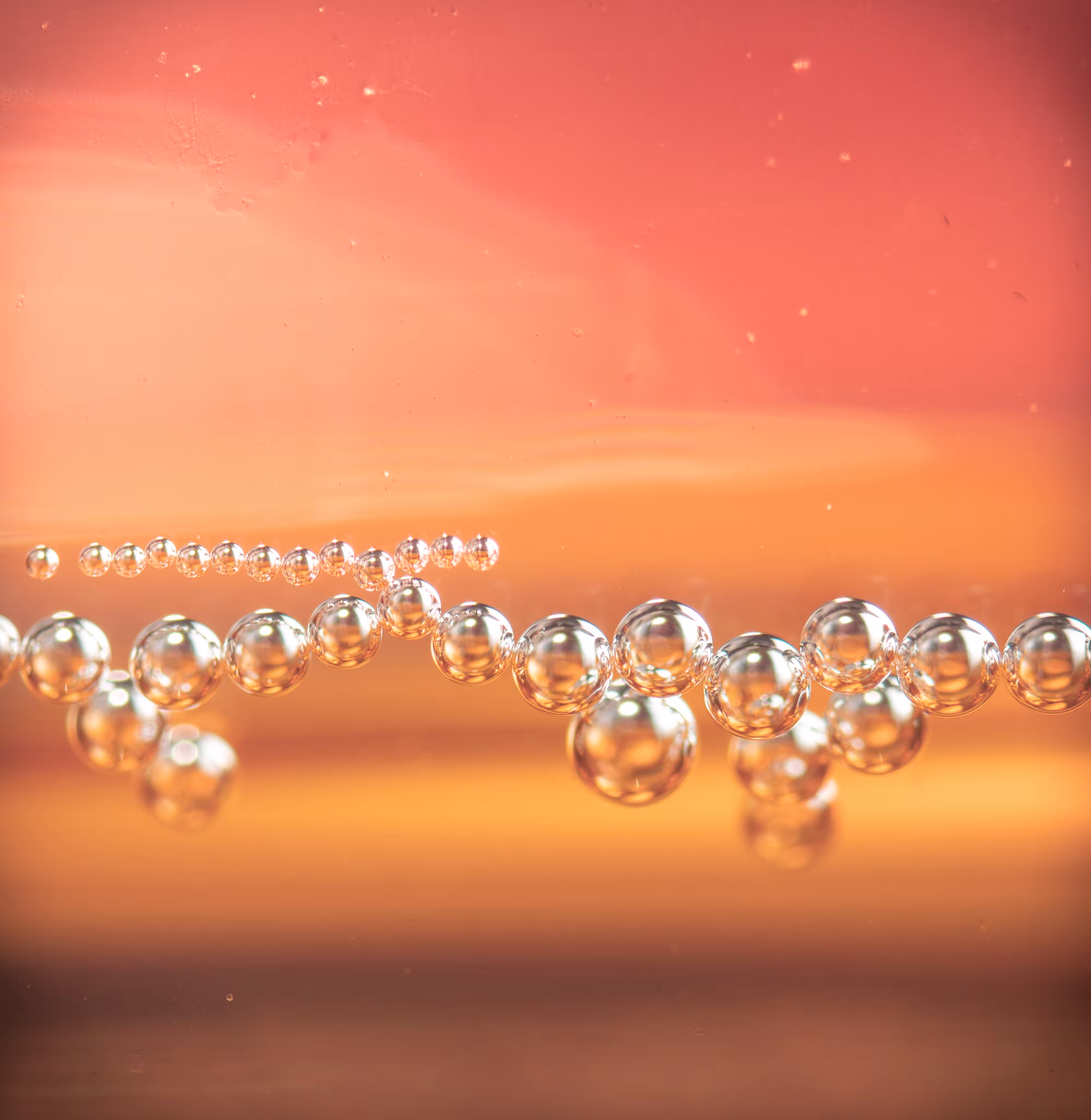Corona Beer Bubbles