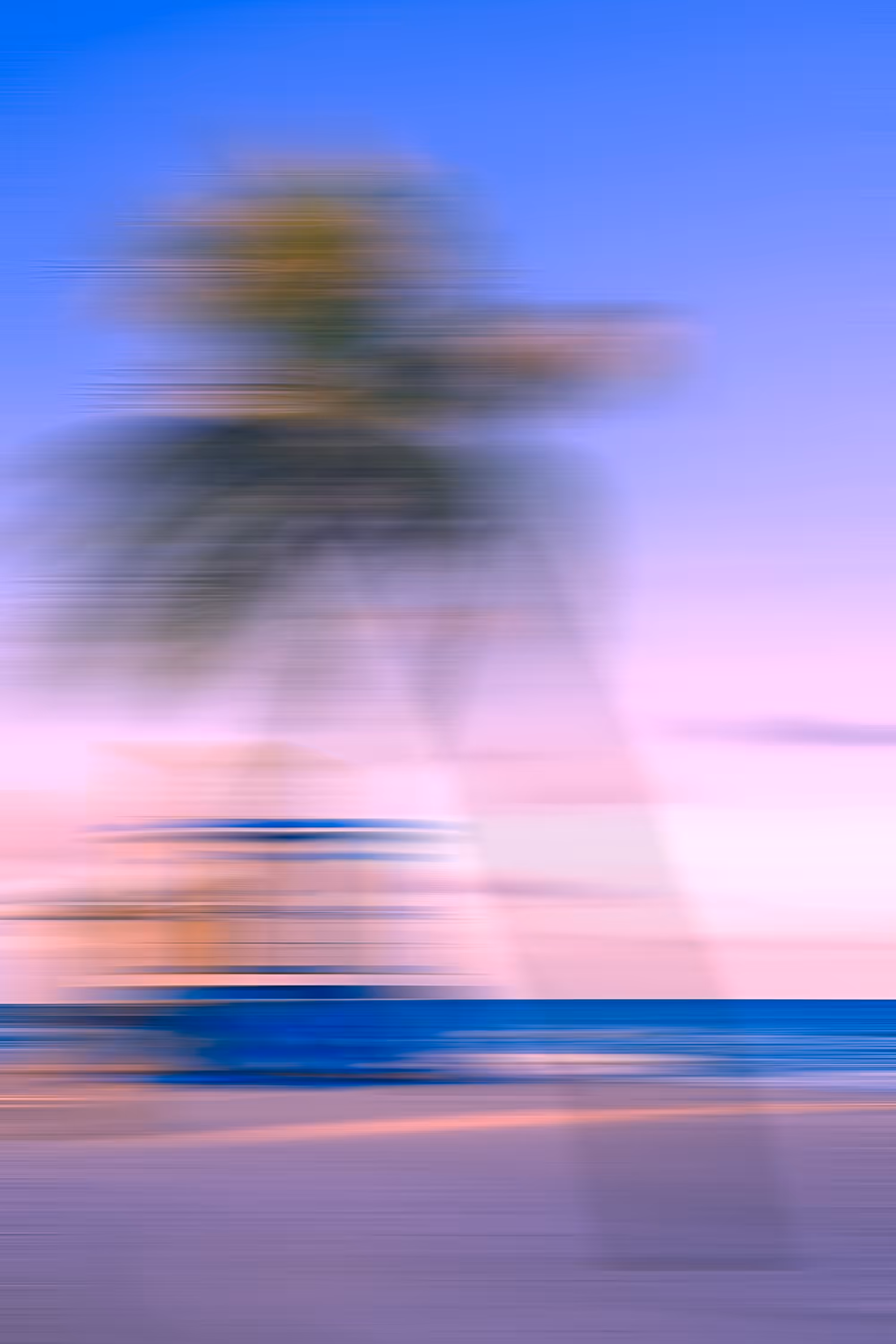 Traces of a Palm