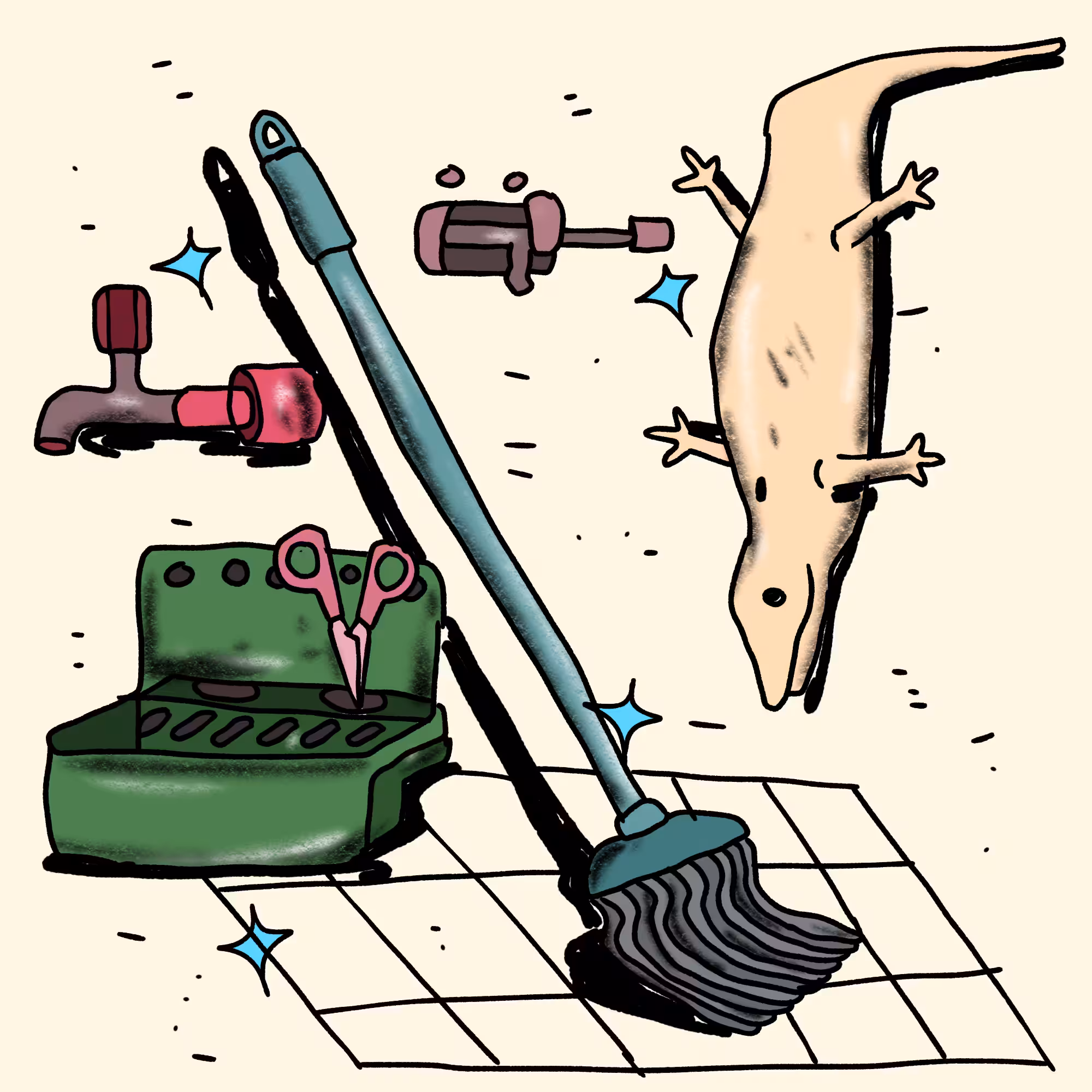 objects in my bathroom