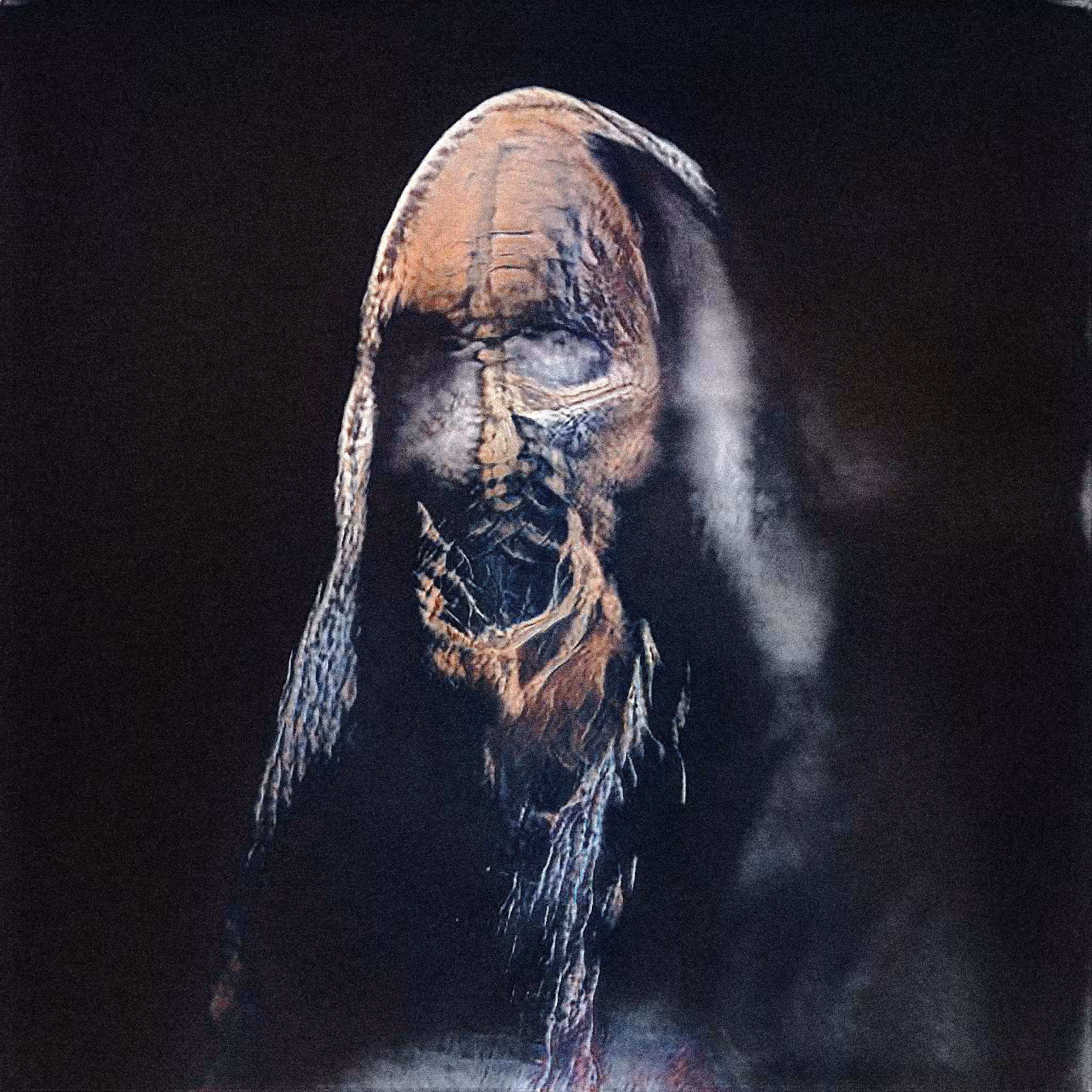 The Ancestors #001