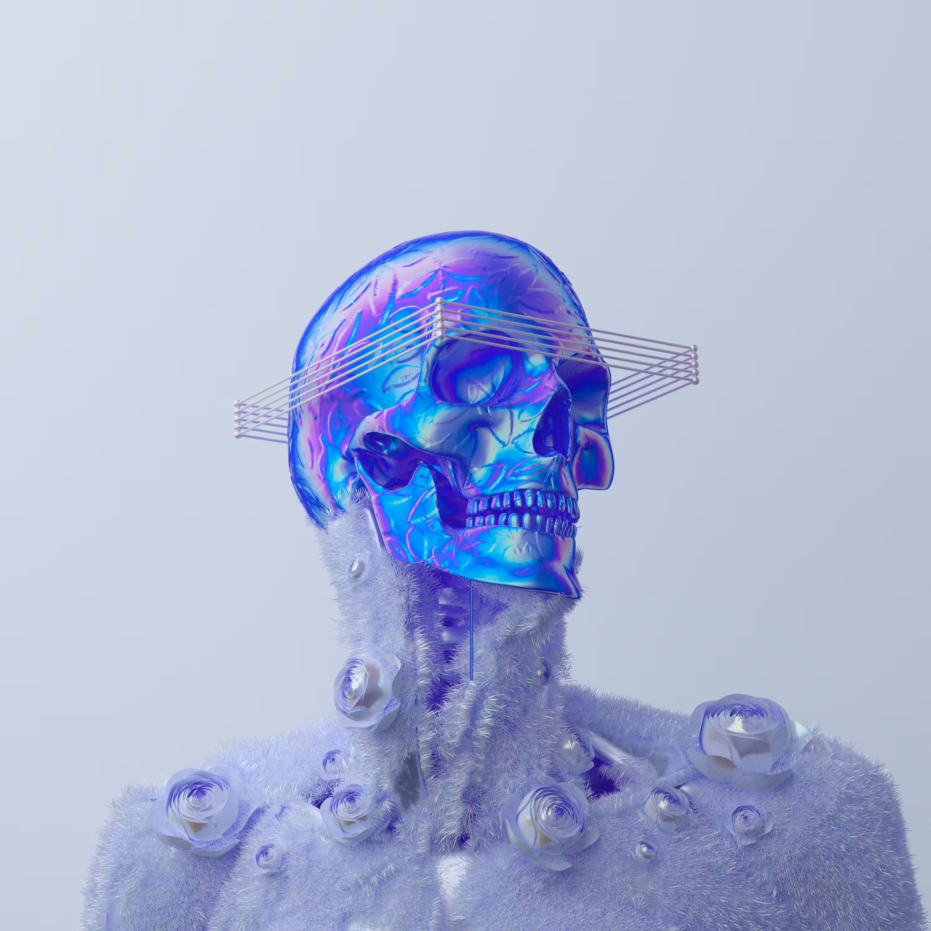portrait photograph from skull NO.02