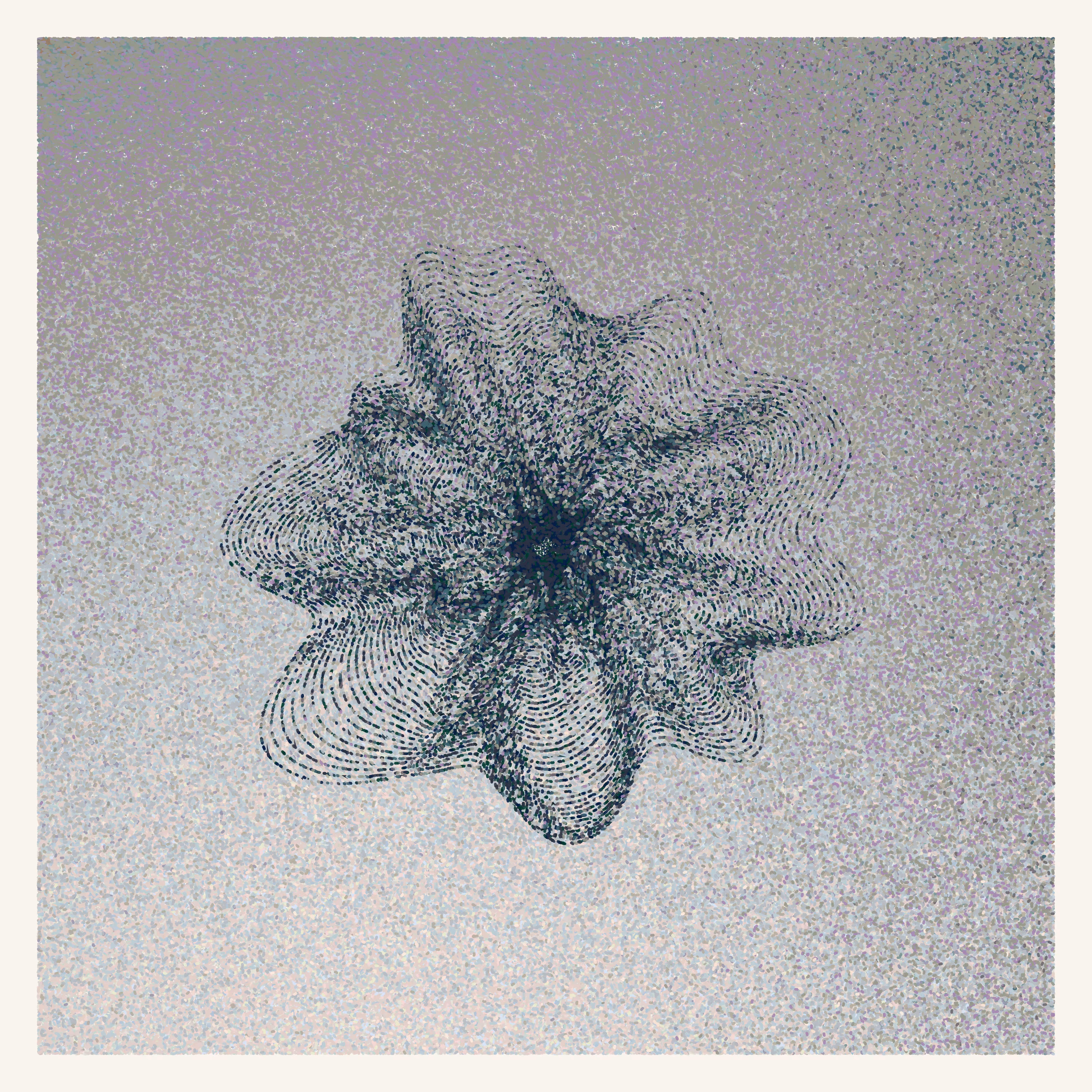Flower Portrait #82