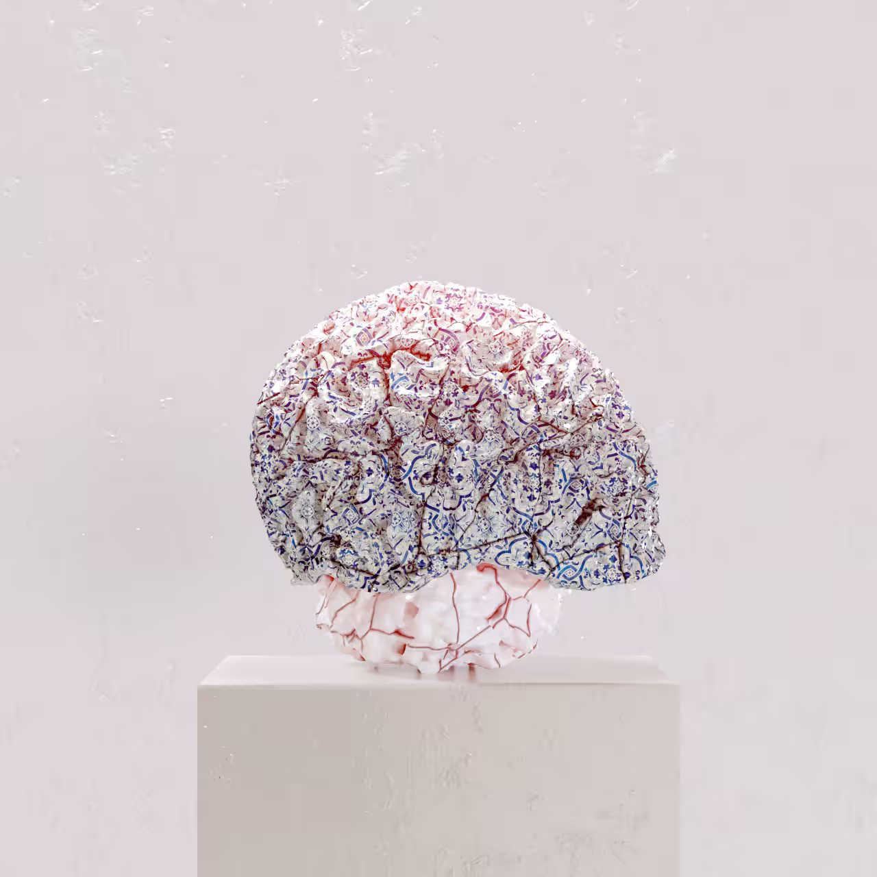 Coral Museum 2