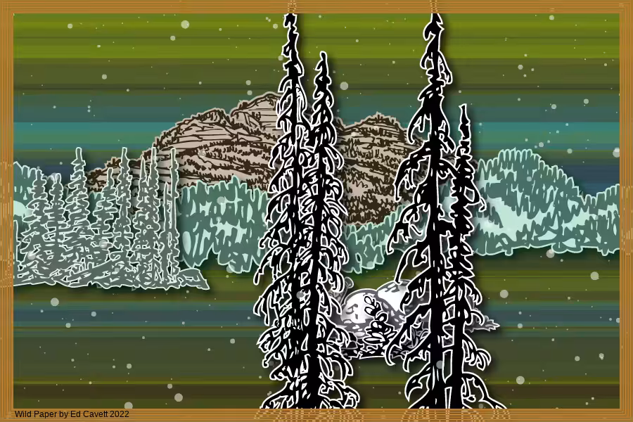 Capture Bigfoot - Wild Paper Series #252
