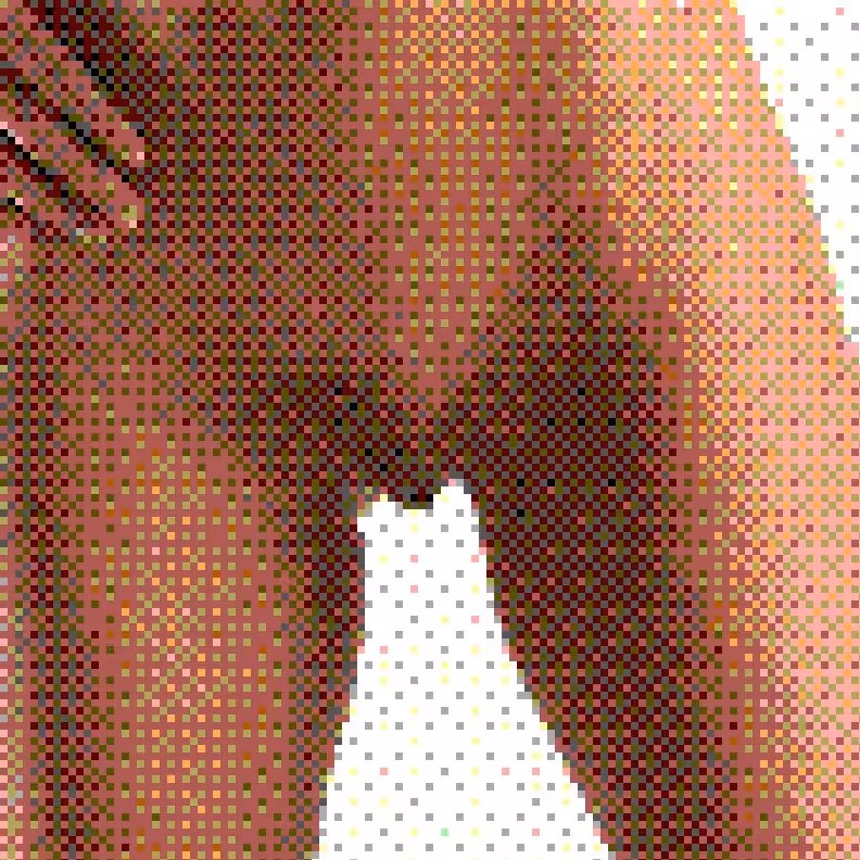 Censored Fragments 203